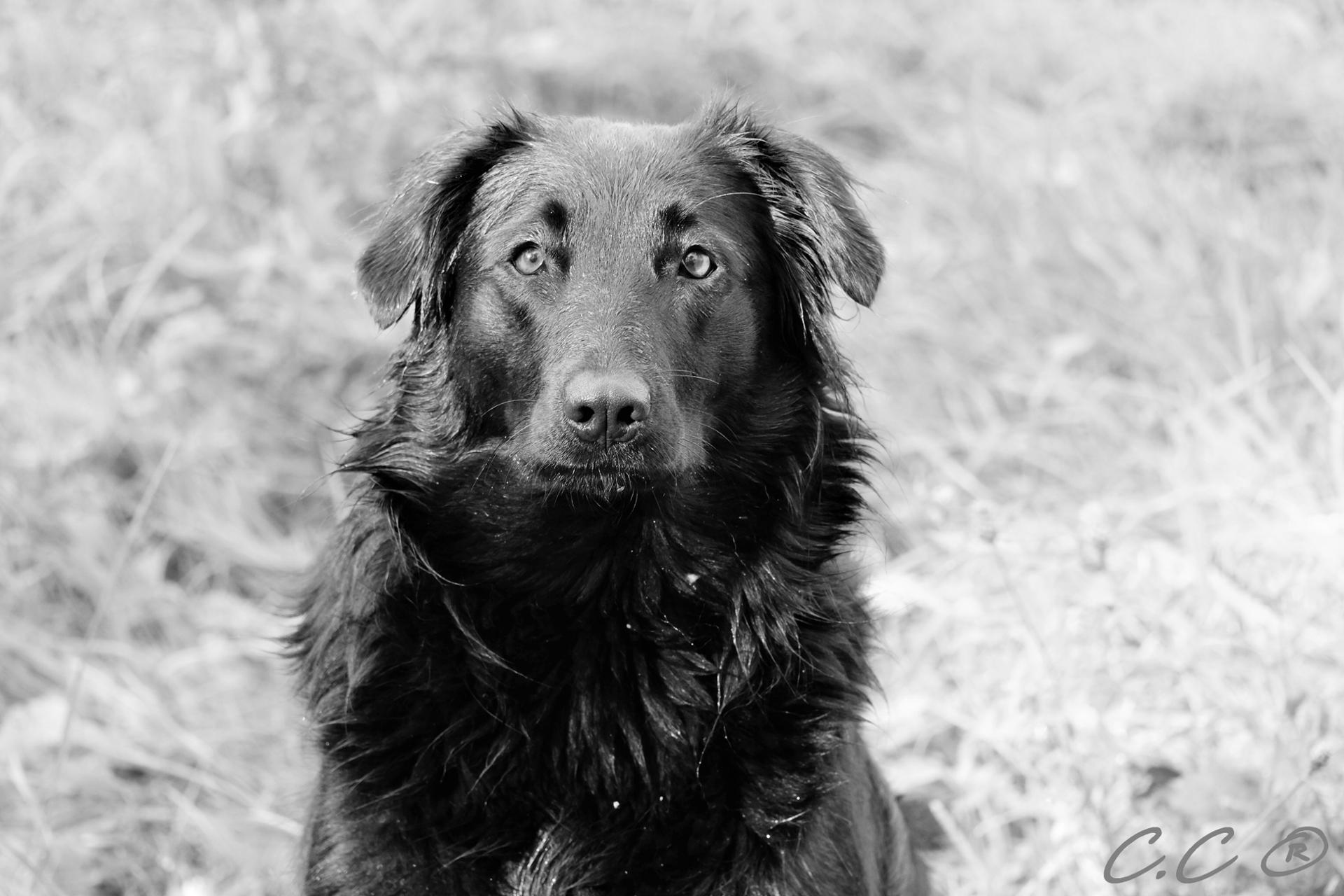 Petite pose sérieuse