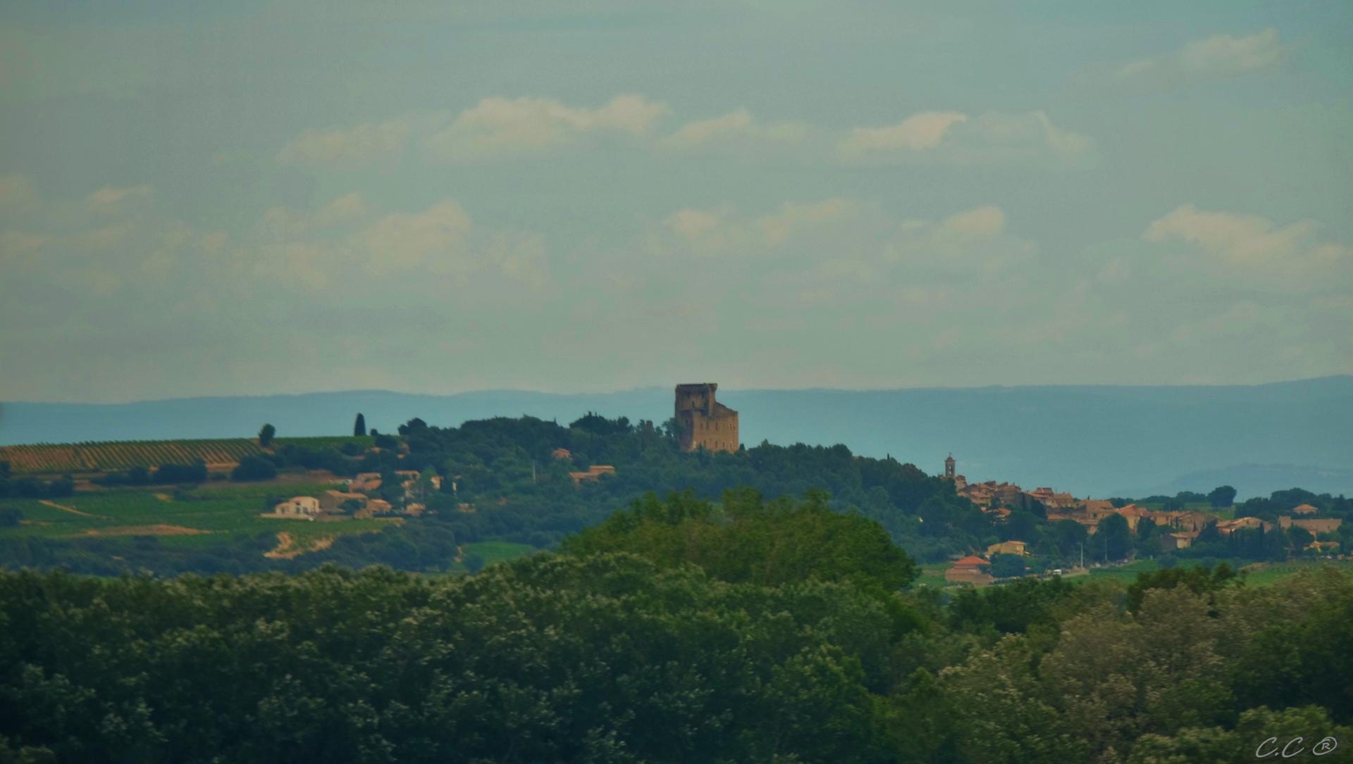 AVIGNON-LILLE (Chateauneuf-du-Pape)