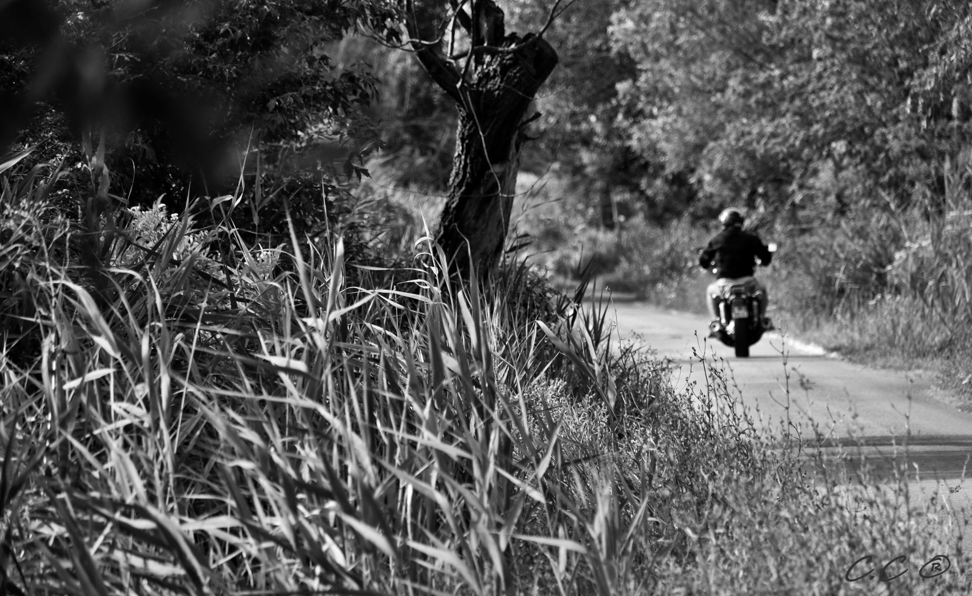 Trace ta route...