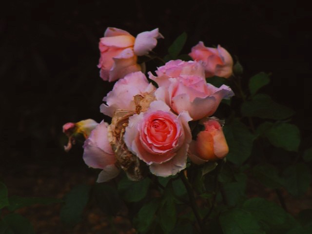 FB_20151004_08_57_16_Saved_Picture (3).jpg