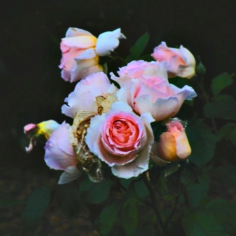 InstagramCapture_8c4bf3bb-0c17-4abf-8ceb-312e93cfa297.jpg