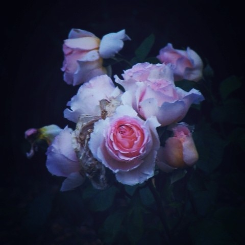 InstagramCapture_5ab0dbde-d733-41a1-bf3d-47d34eeea497.jpg