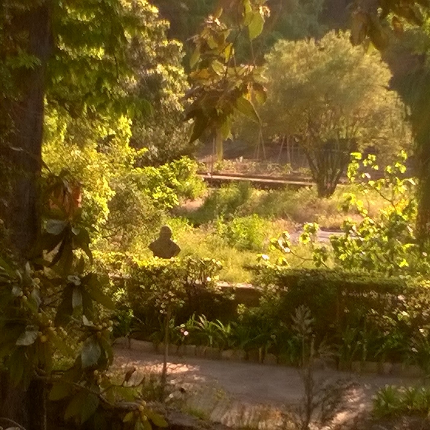 Mon Jardin