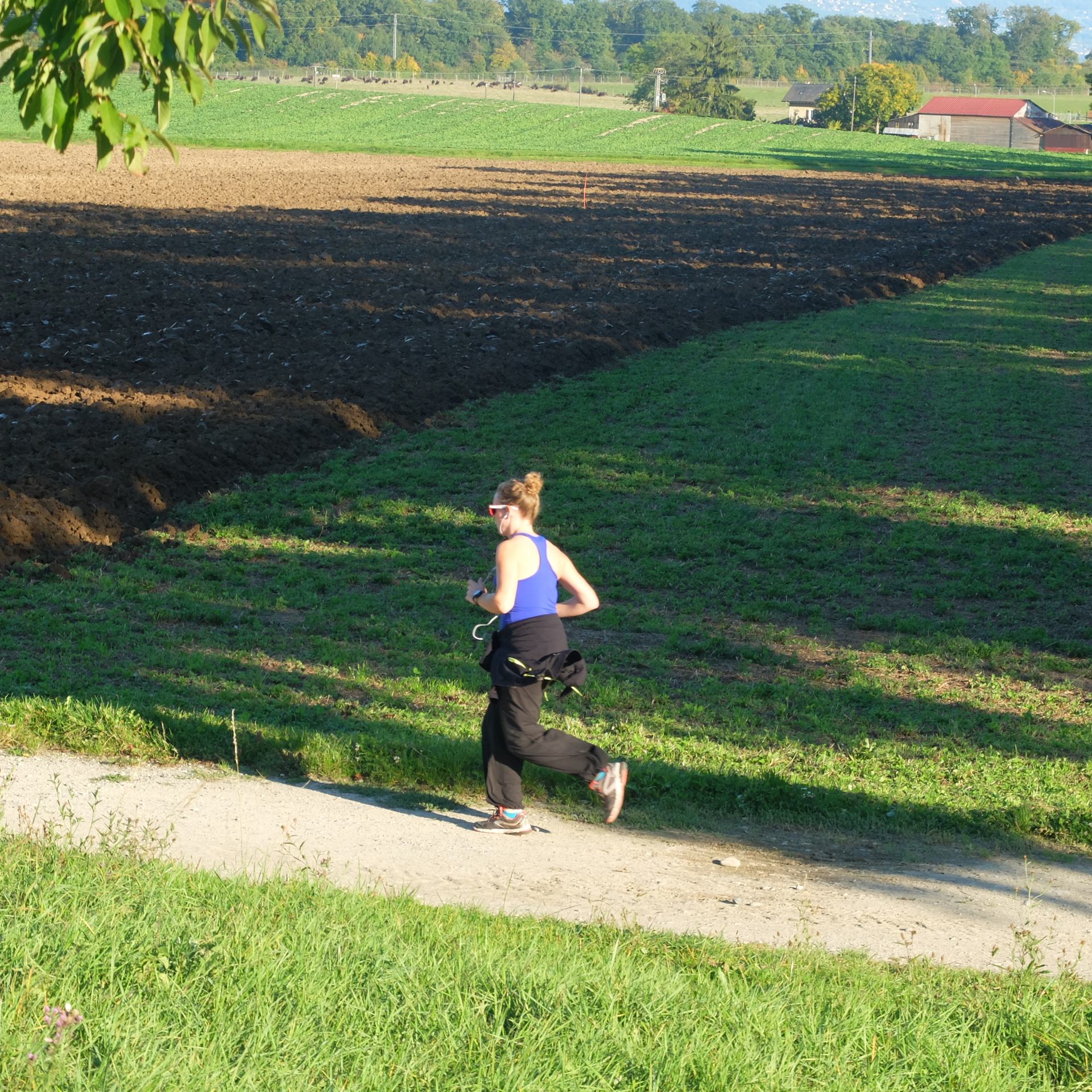 Jogging