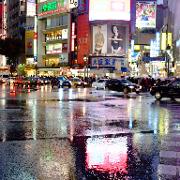 Classement final : 203