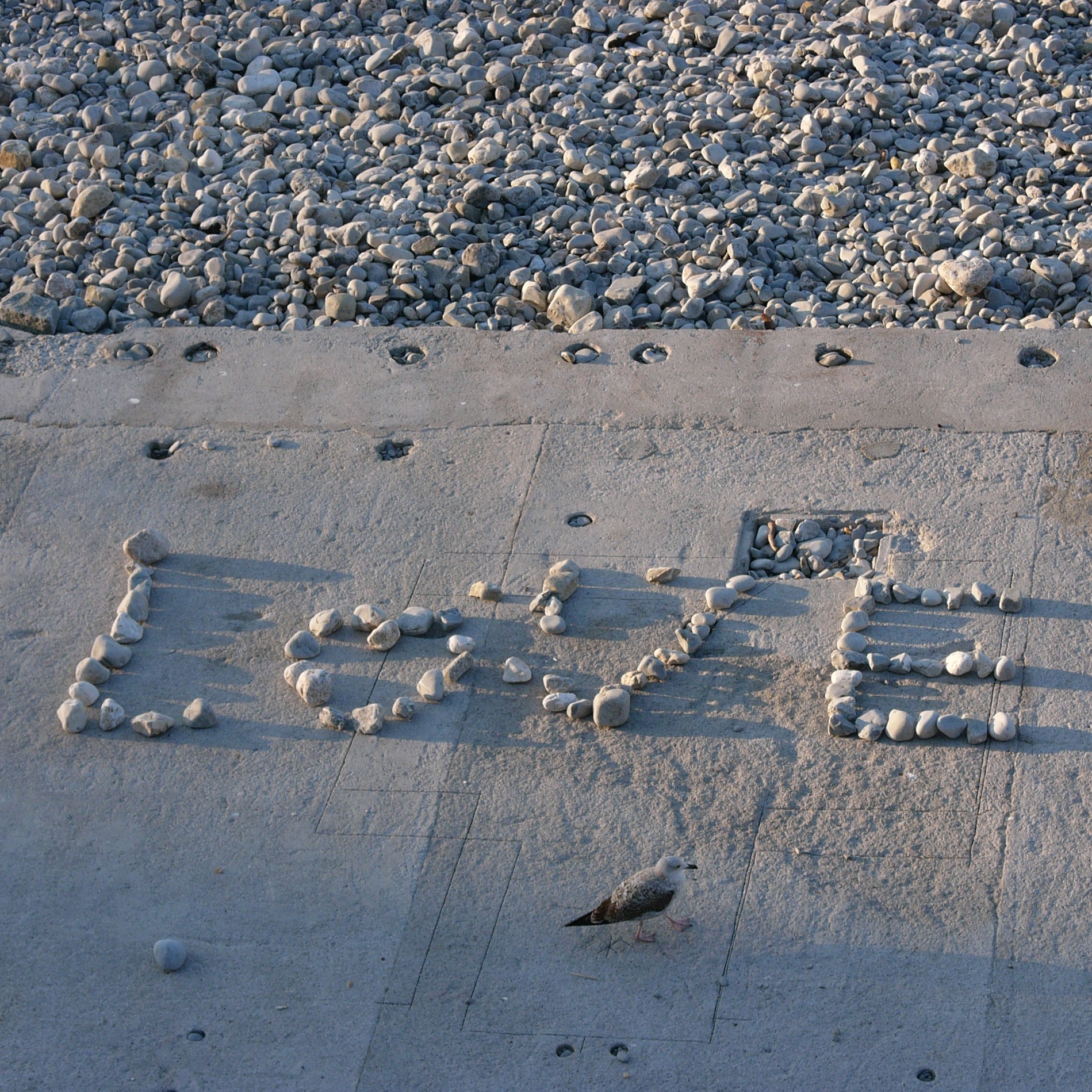 L1040581.1.JPG