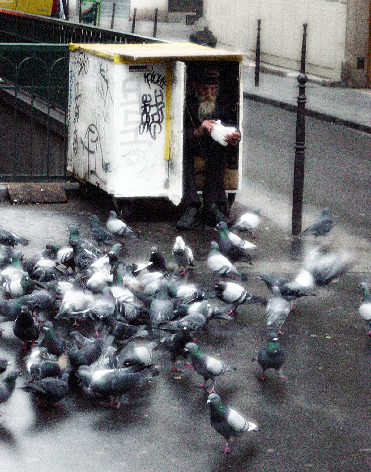 sdf janvier 2004 MODIF.JPG