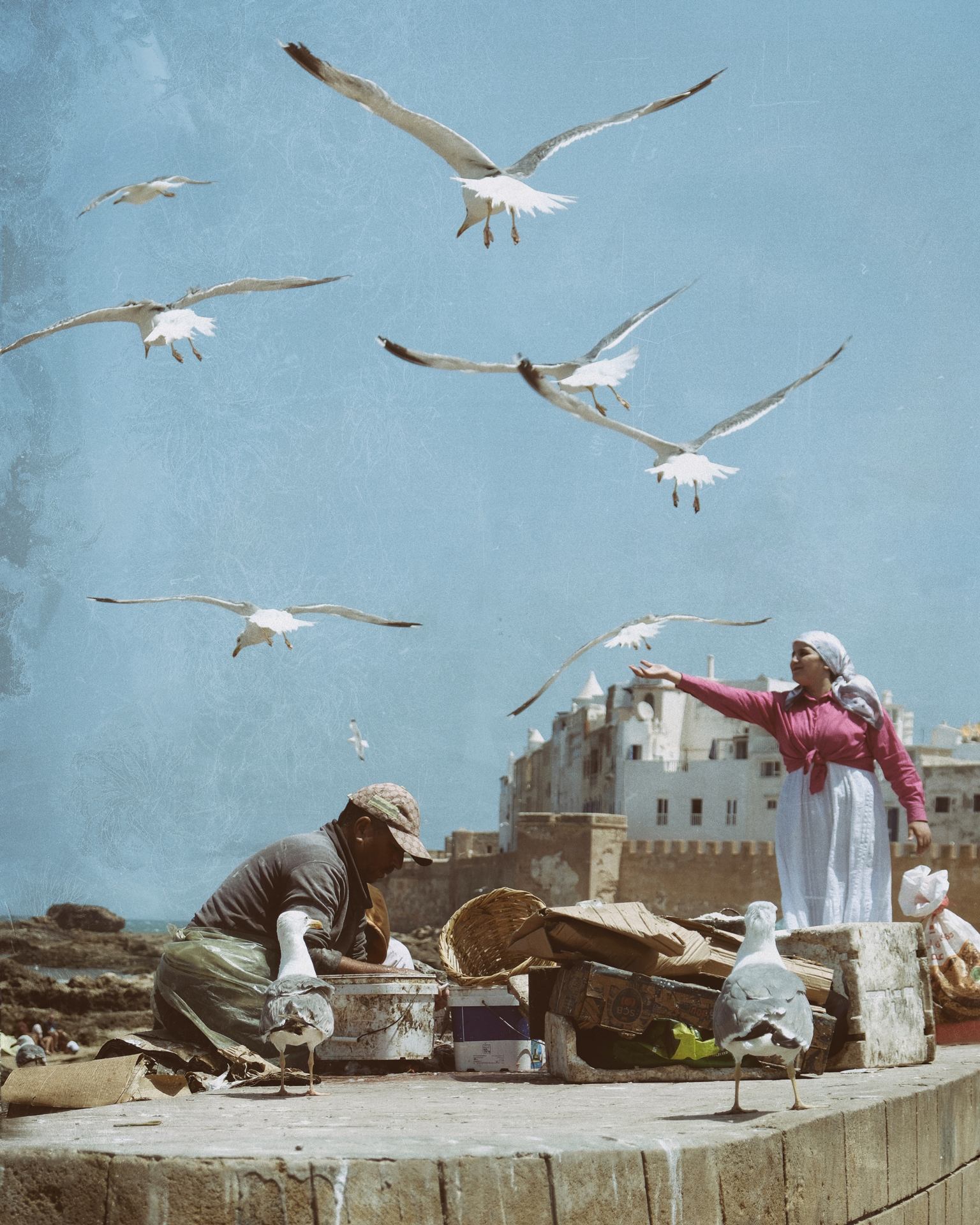Le chant des oiseaux