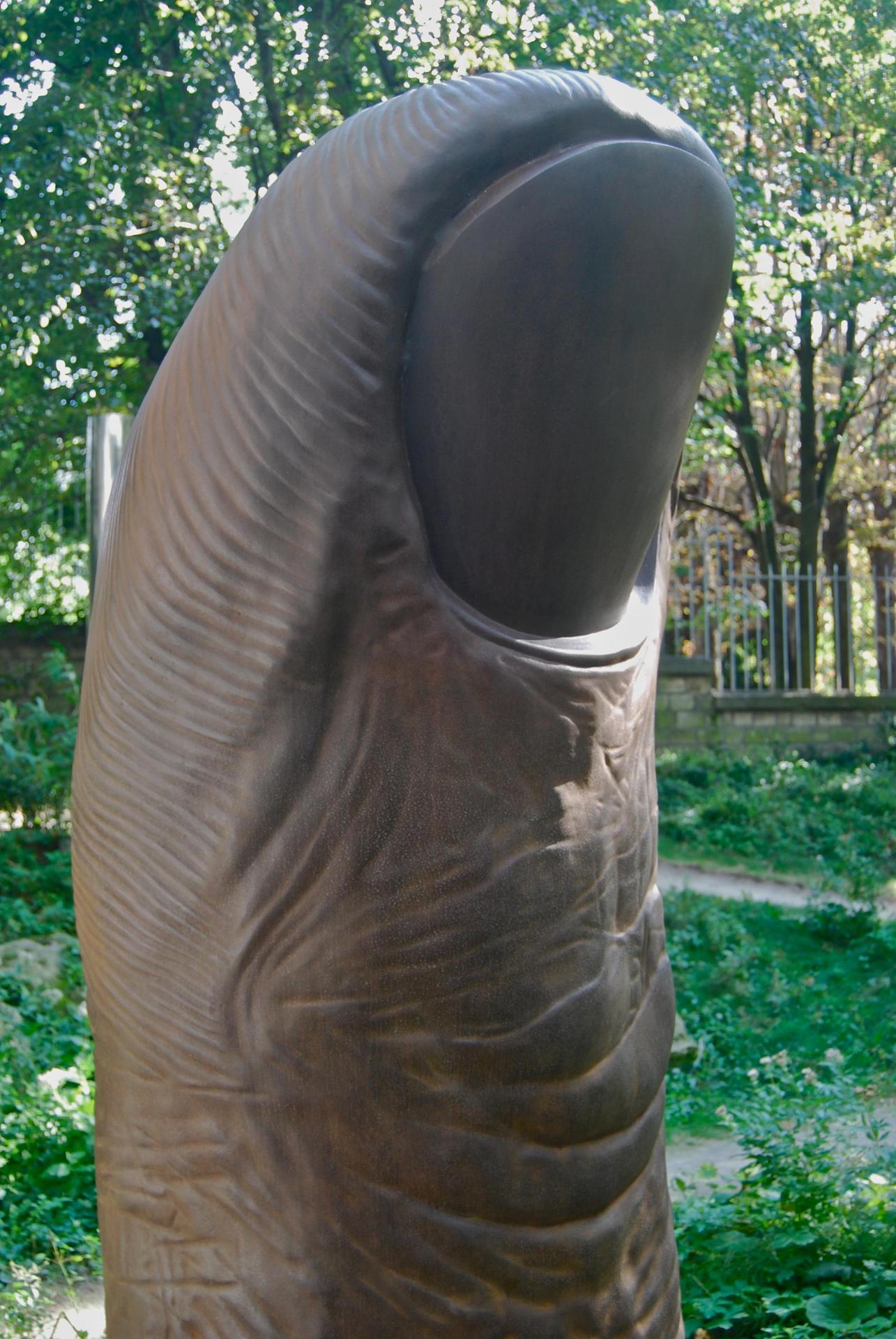 César