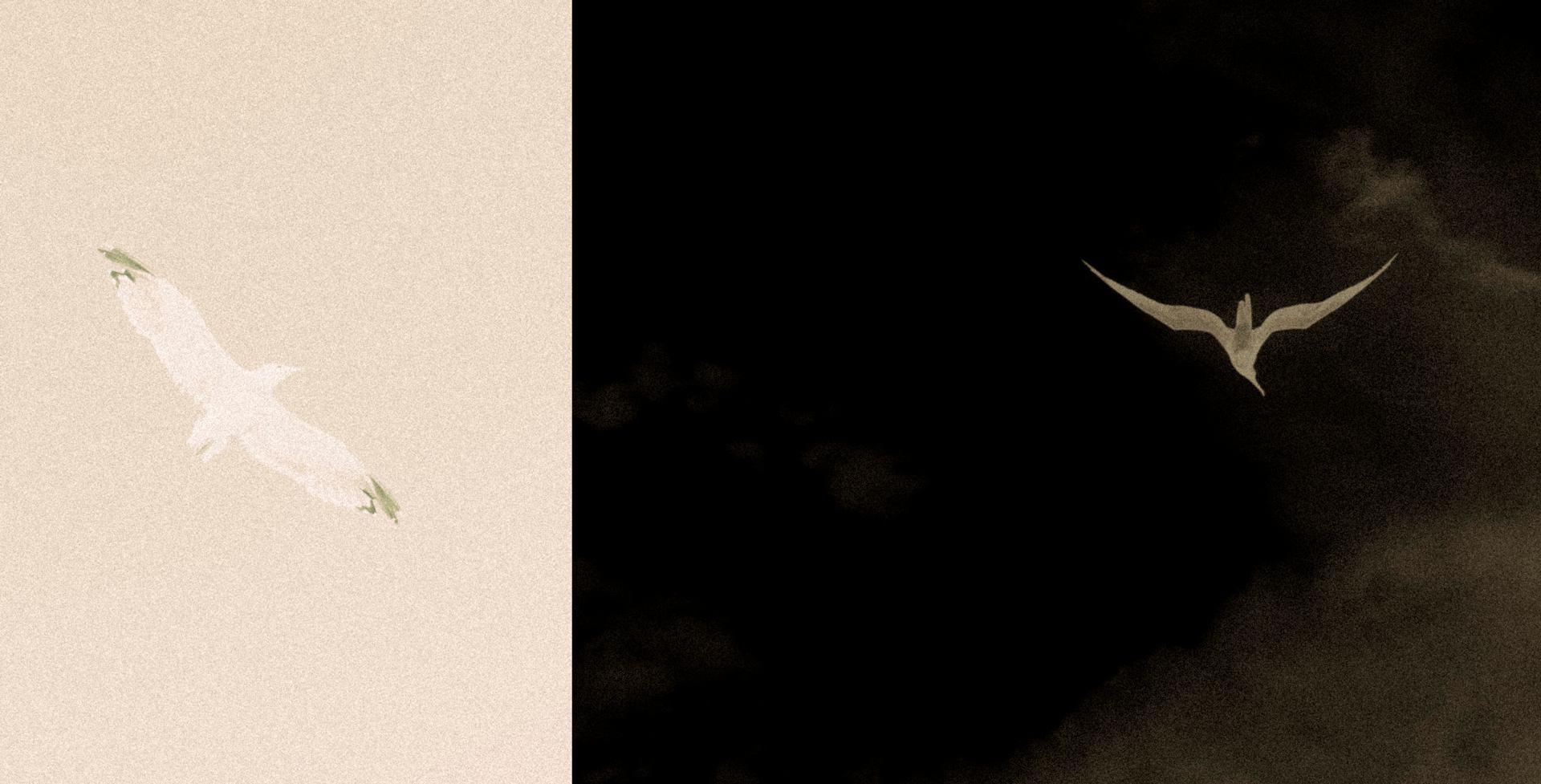 Passage en plein ombre