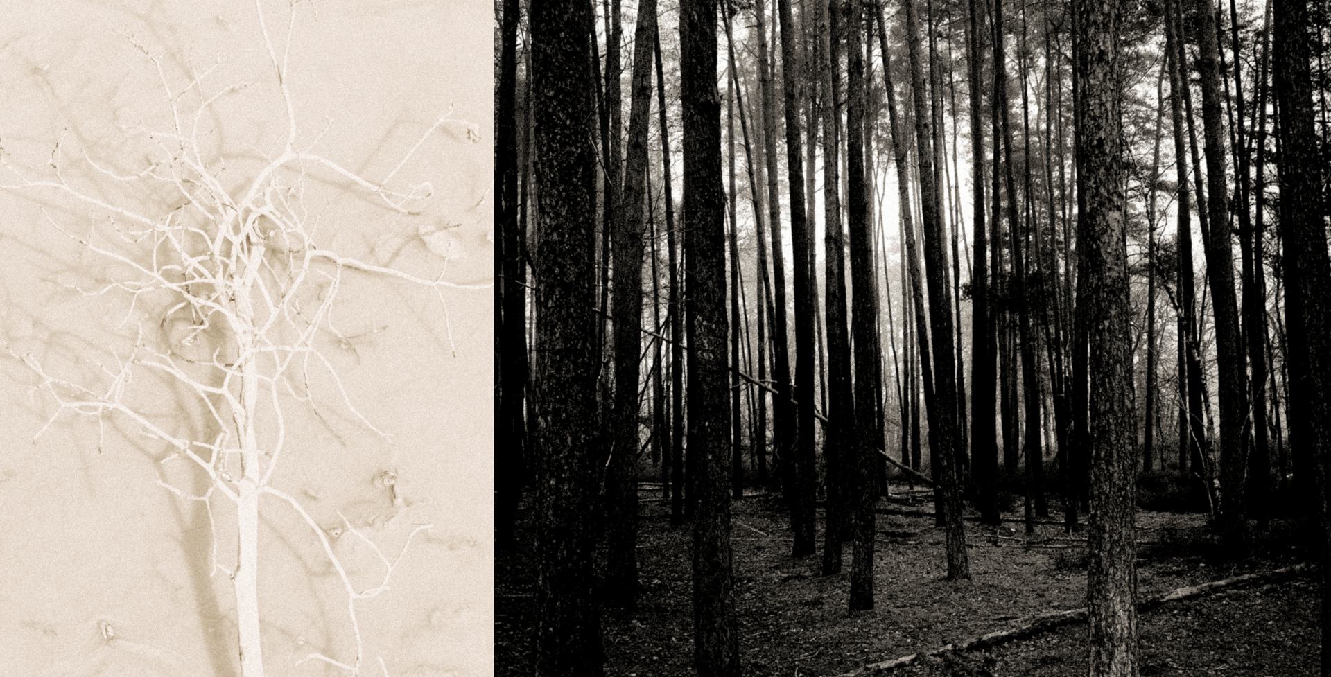 Morphologie d’un paysage.jpg