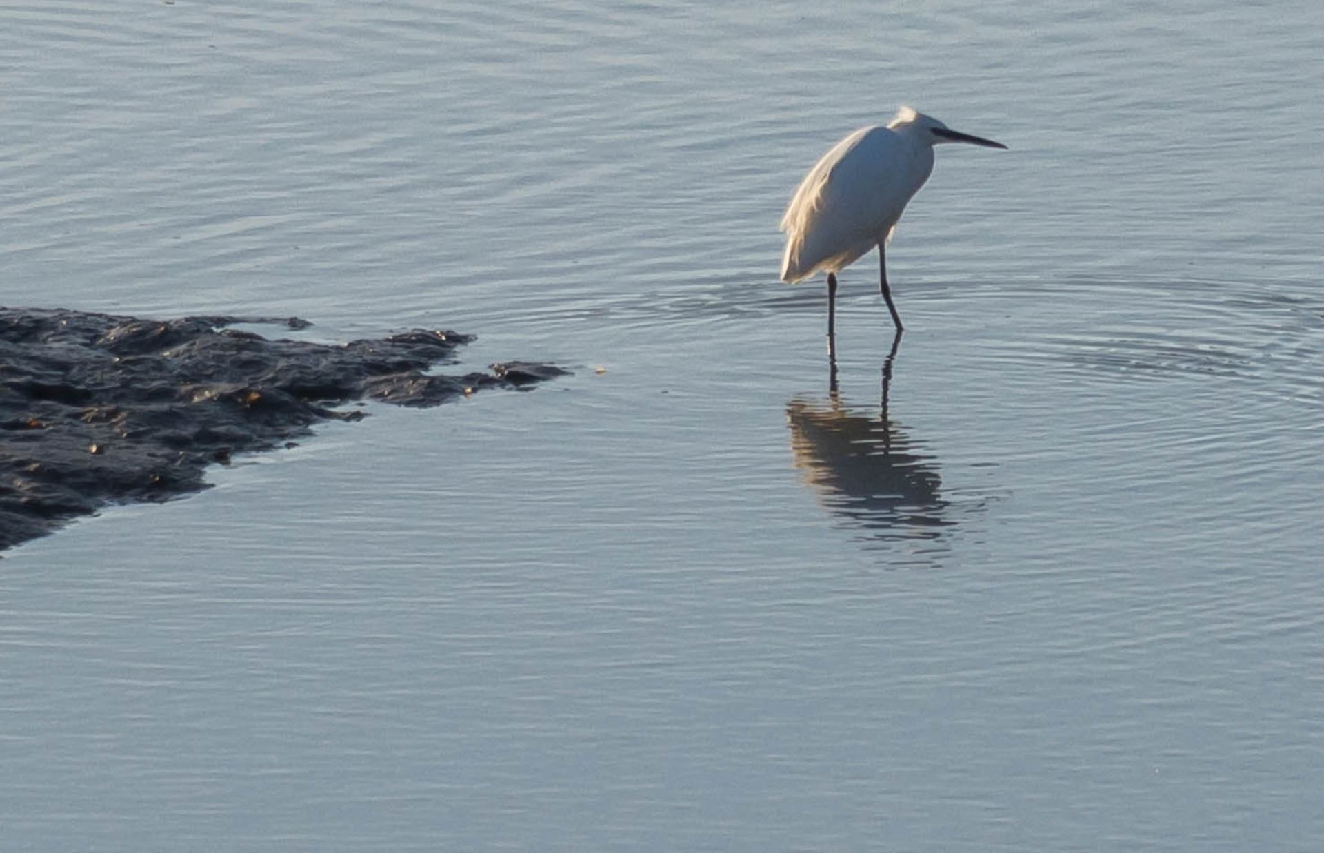 penfoulic finistère