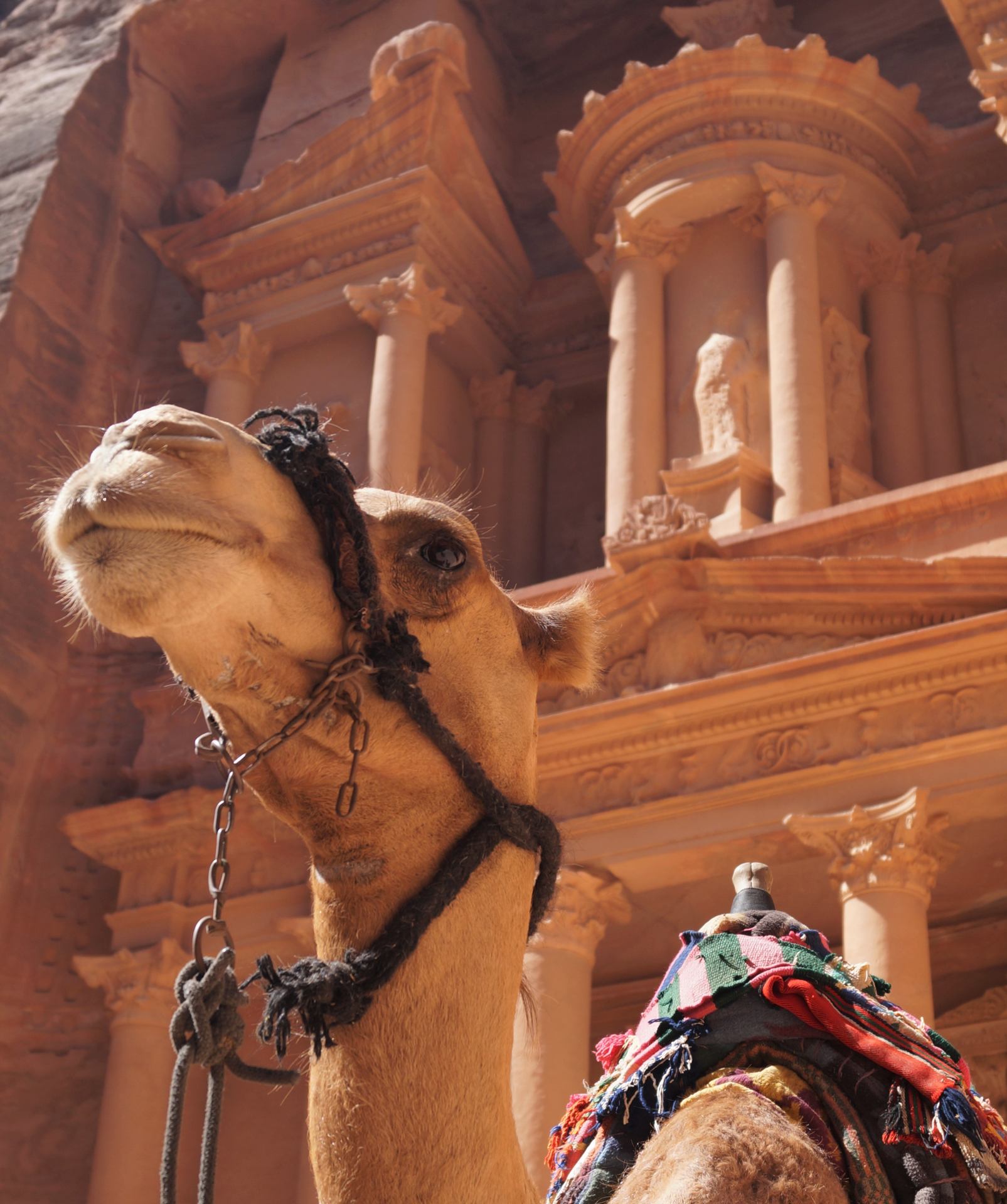 petra.jpg