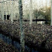 Classement final : 2602