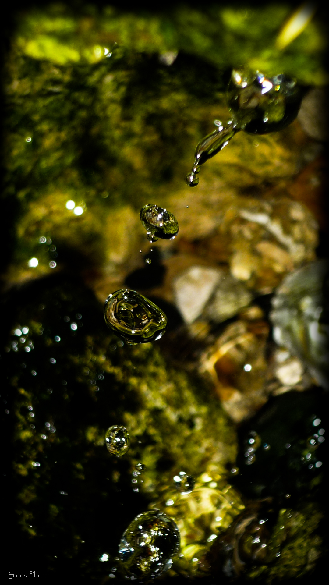 P1080707
