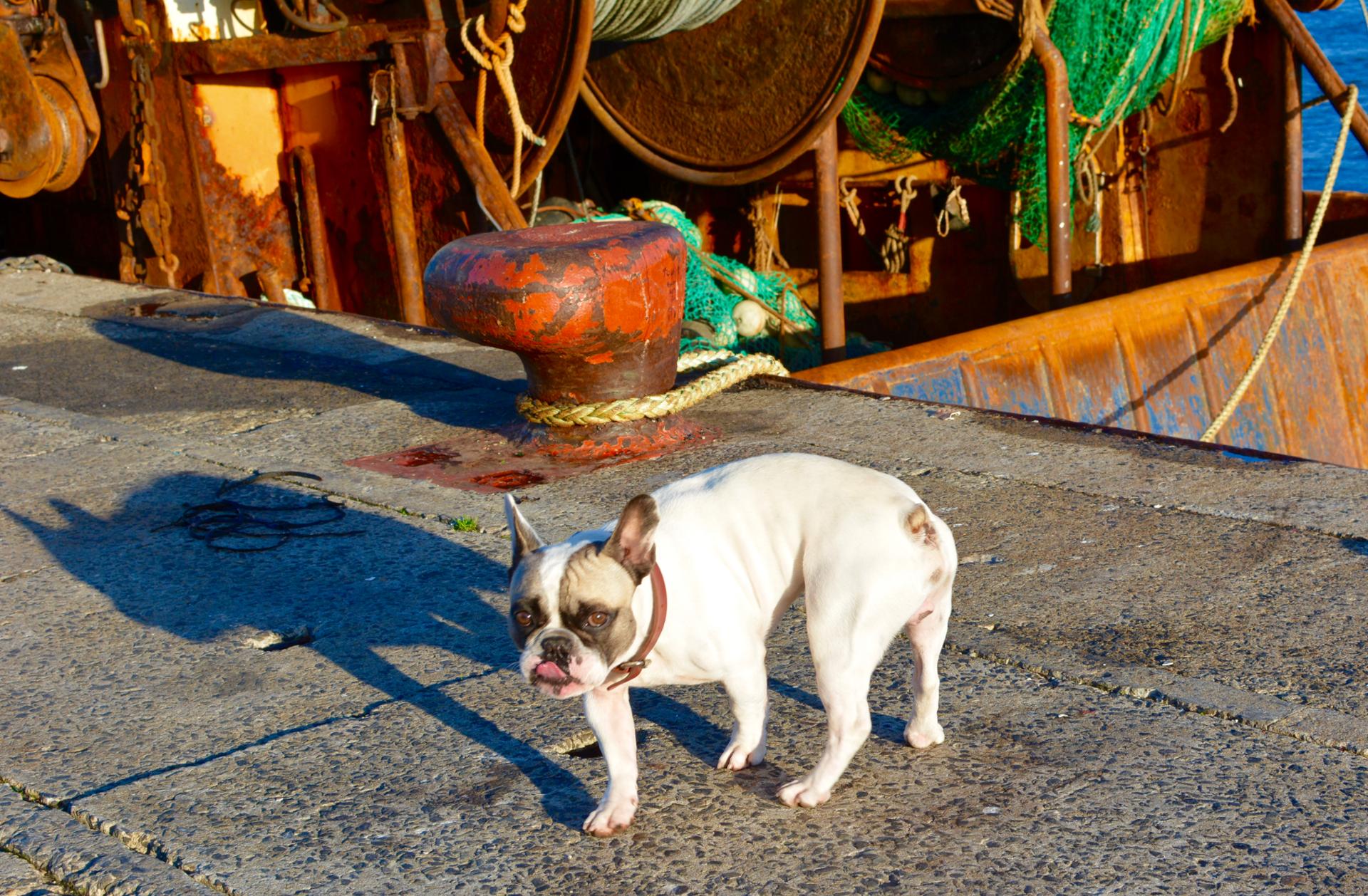 Port de LORIENT03.jpg