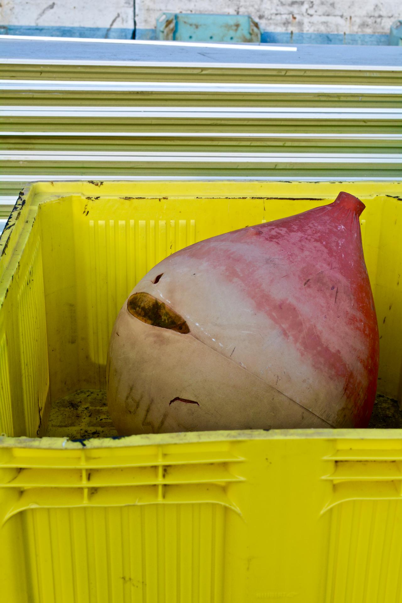 Port de LORIENT10.jpg