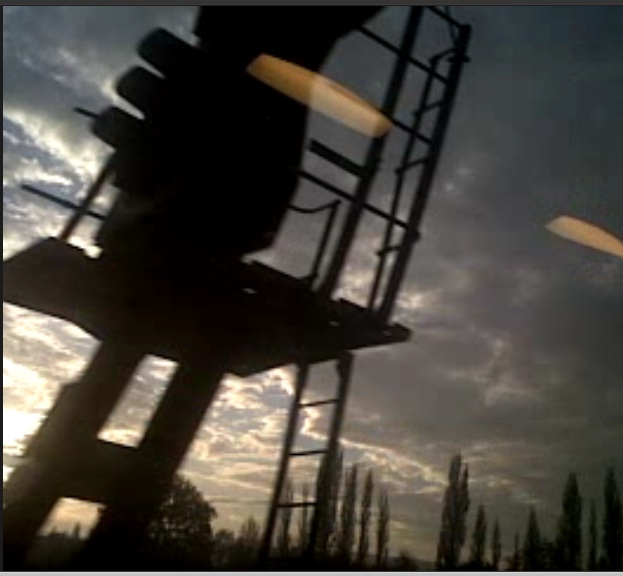 Morning Signal.jpg