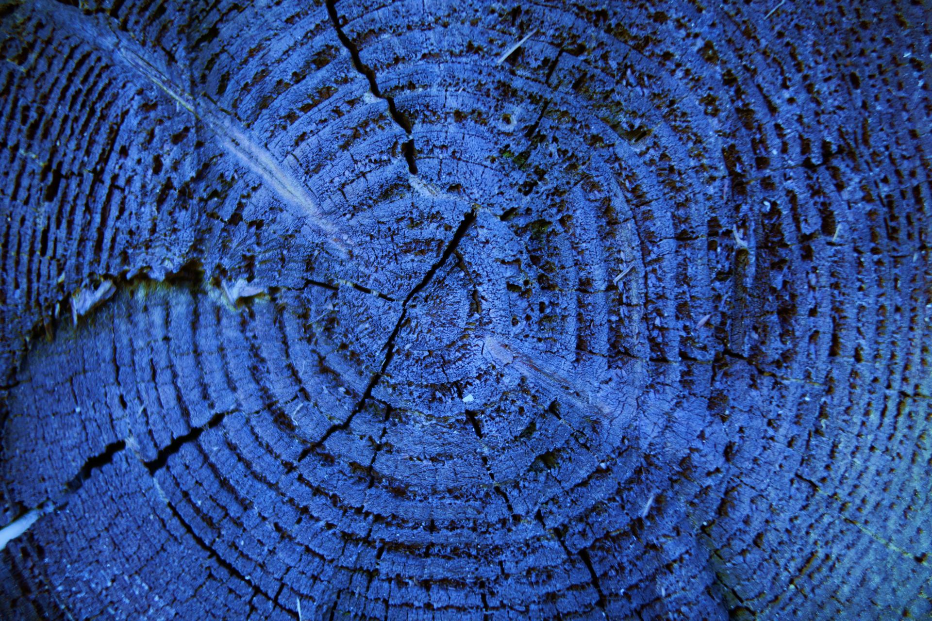 Tranche de Terre.JPG