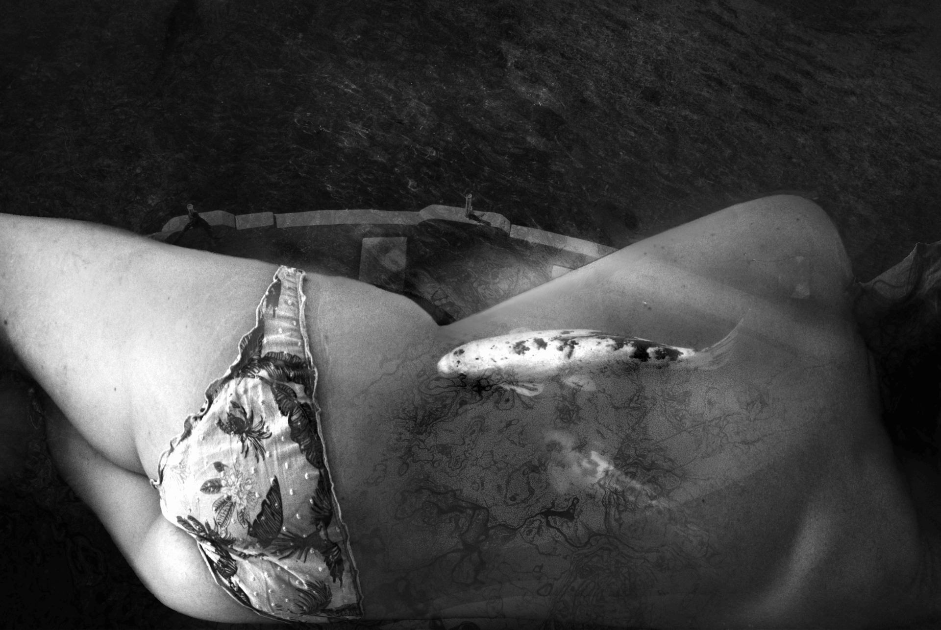 Songe de carpe