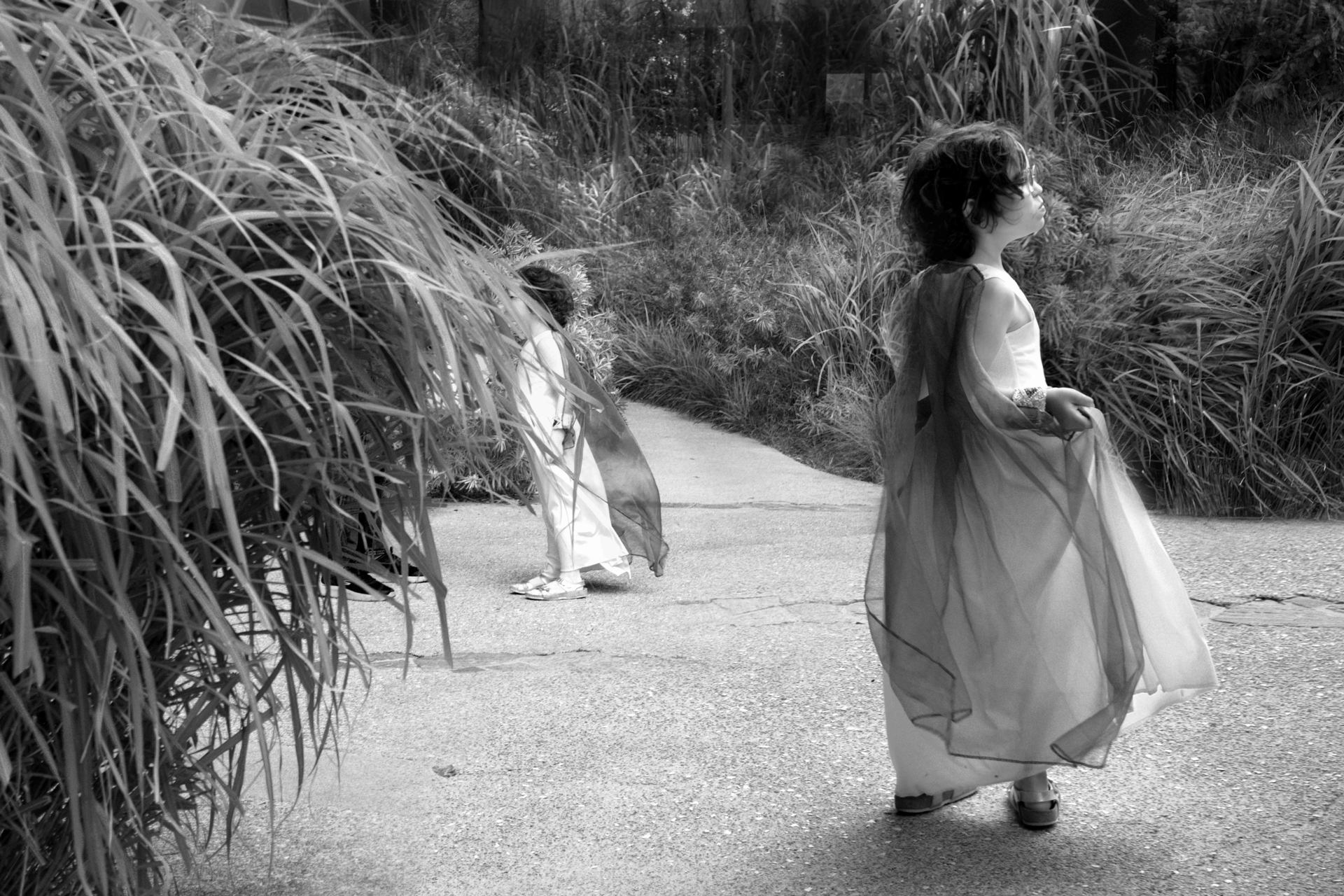 les petites butineuses