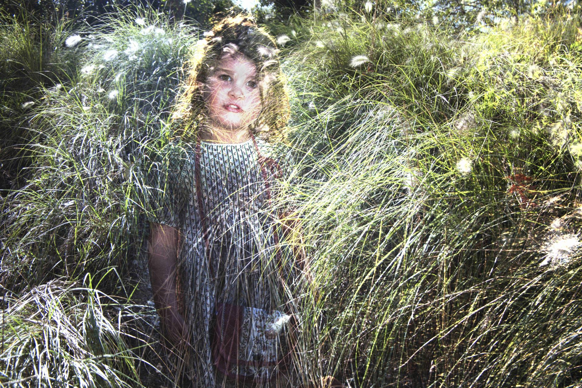 Alice dans les hautes herbes