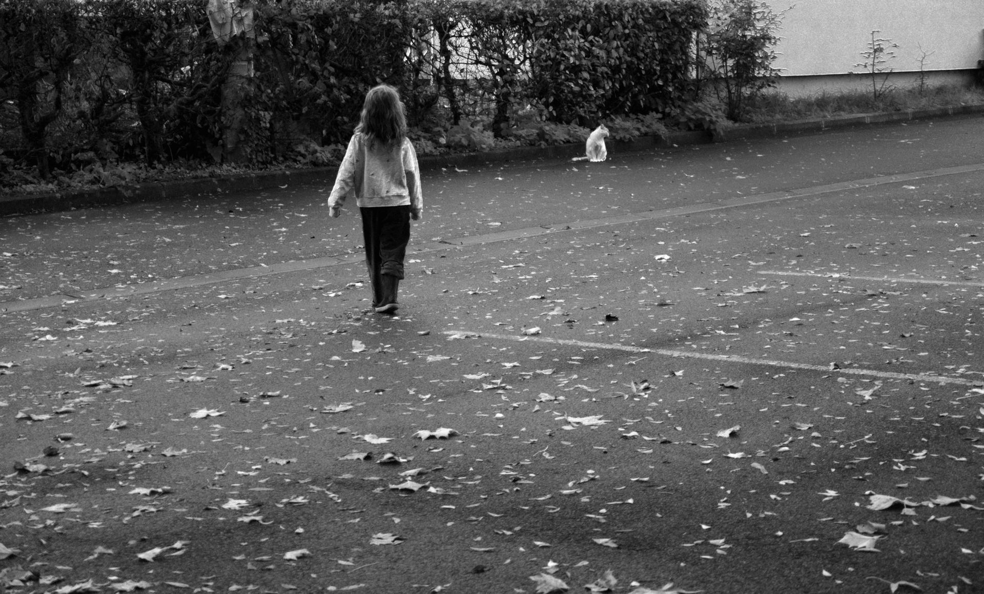 Alma et le petit chat