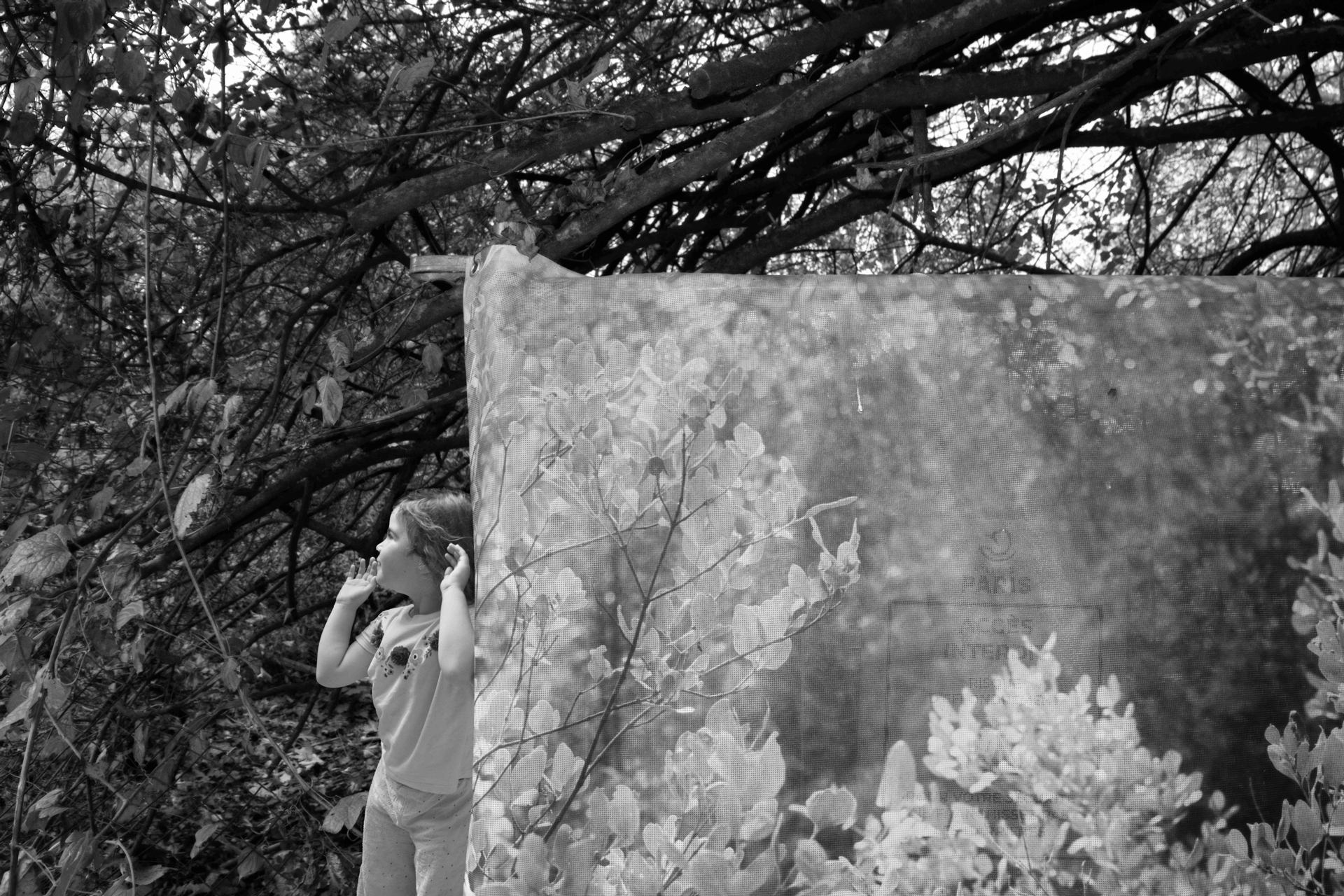 Entre le vrai et le faux