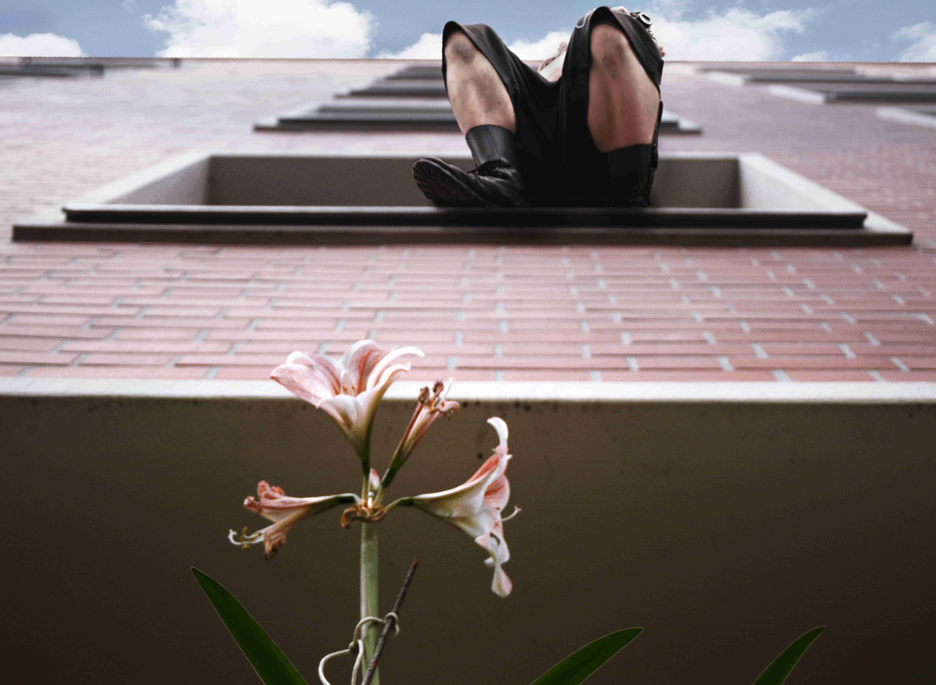 Mon voisin du dessus.jpg