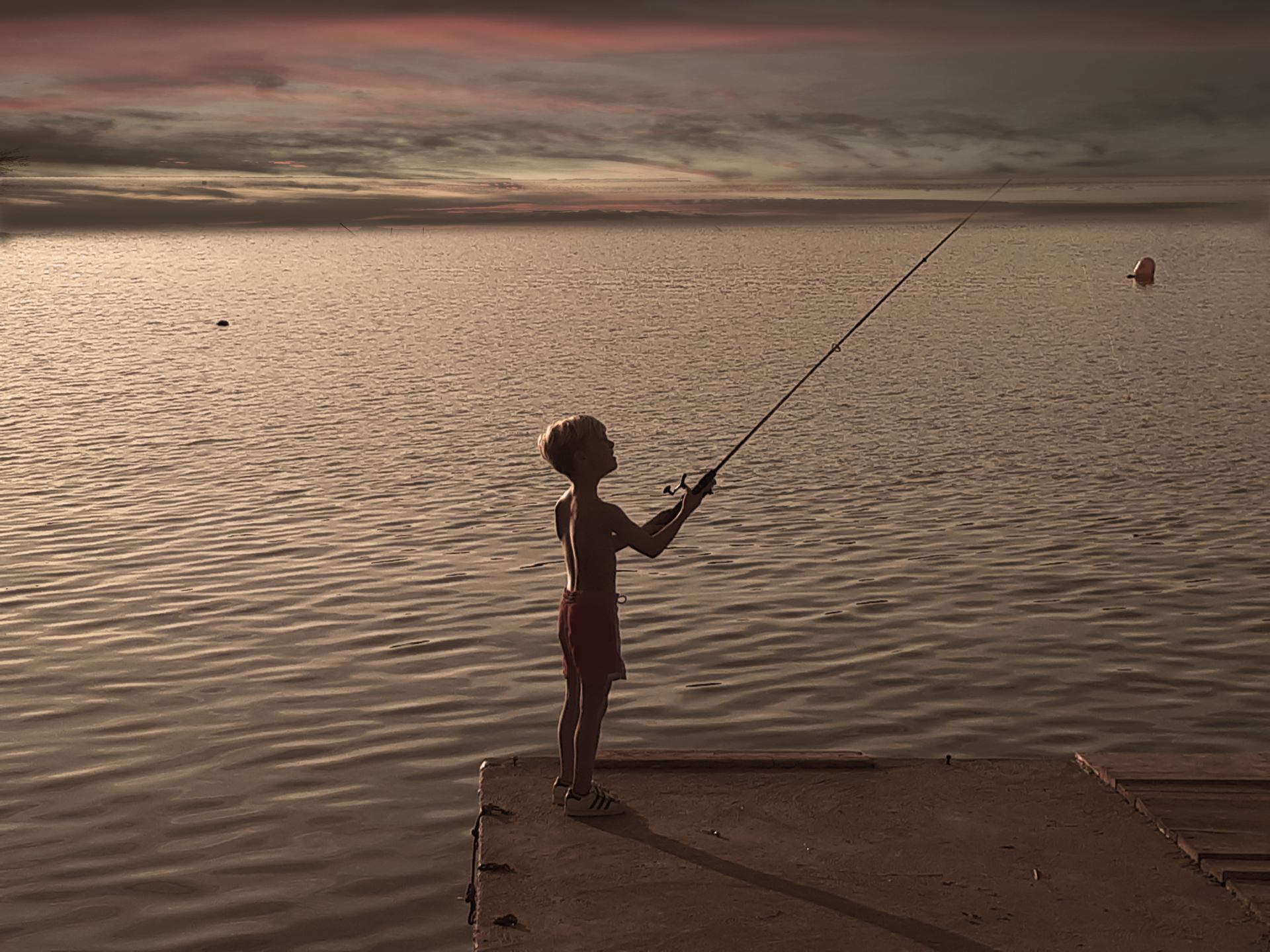 Petit pêcheur de la lagune