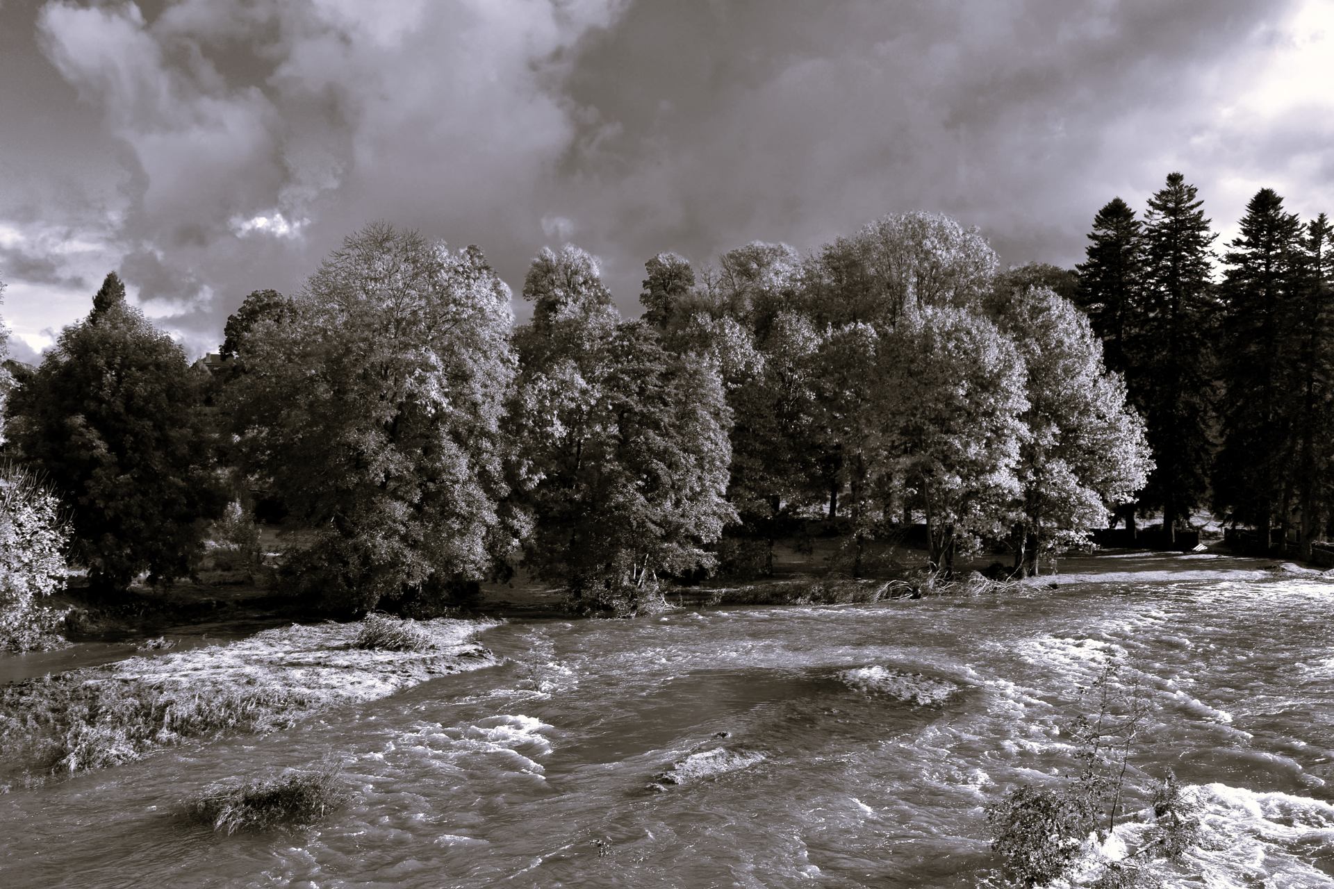 Le Lignon en furie W DSC_0069 nb r 1.3 .JPG