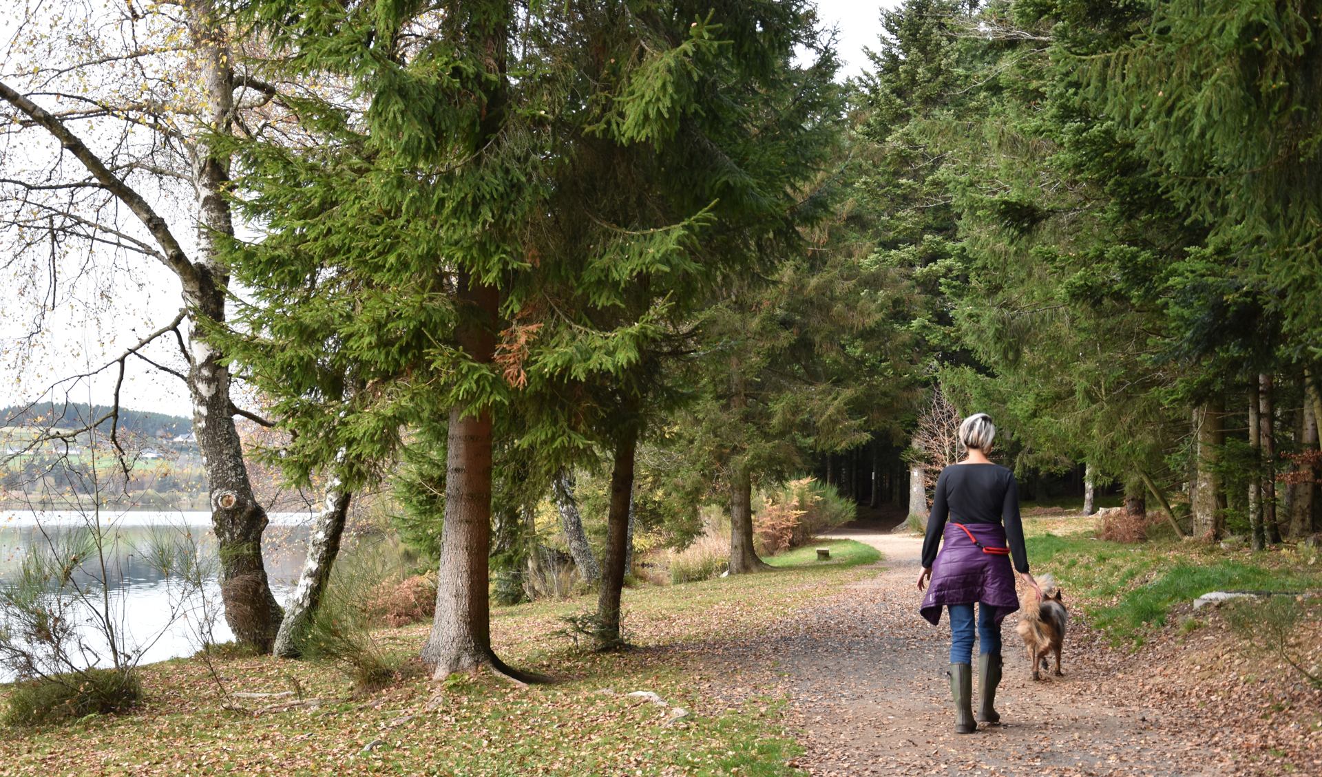 Promenons nous dans le bois DSC_0211 Original r r.jpg