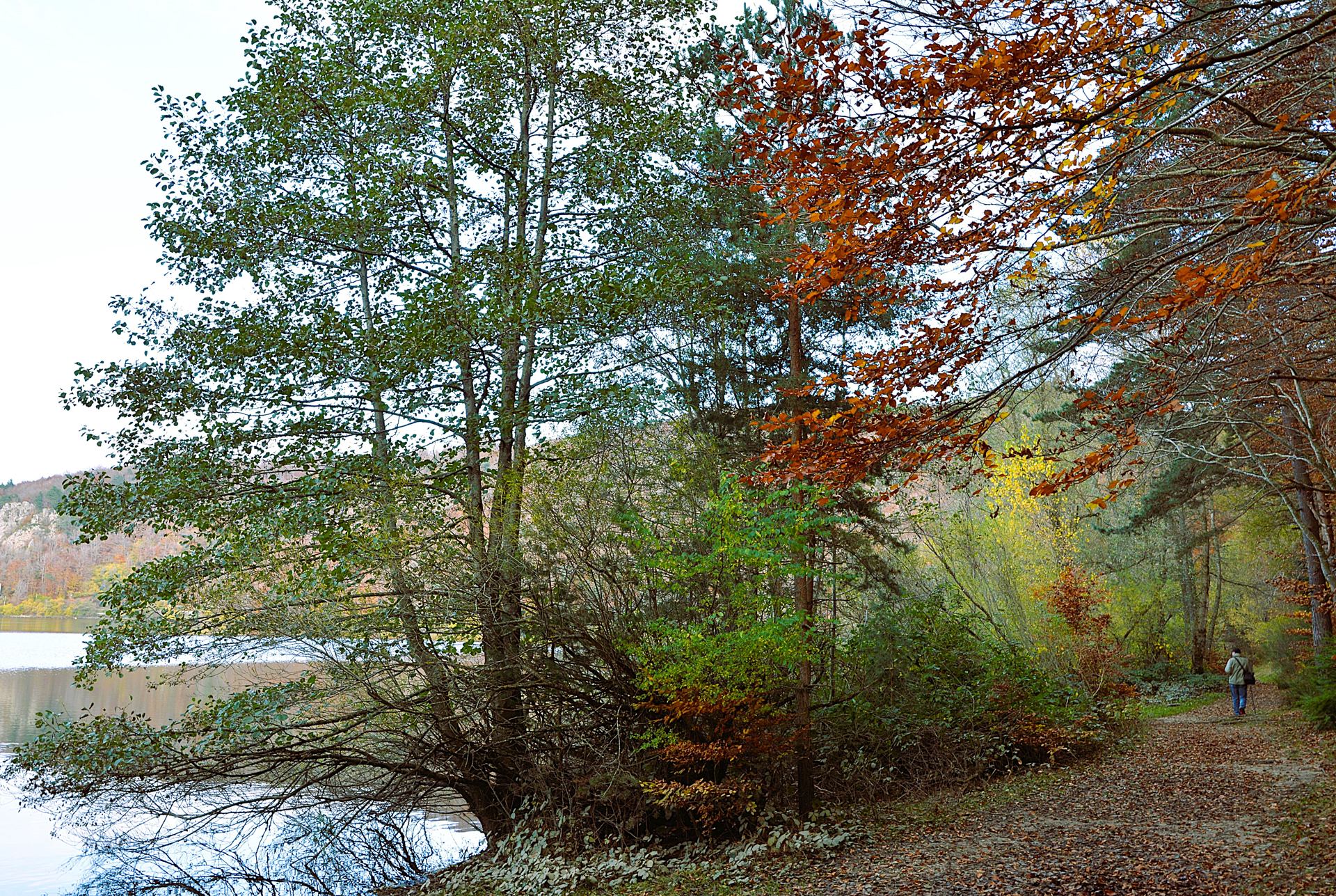 Le promeneur DSC_0852 b2 r d n 100 Lac d'Issarlès Ardèche WIPPLAY.JPG