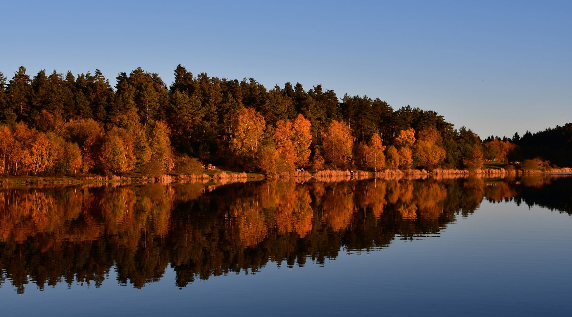 Automne DSC_0904 Original n r .jpg