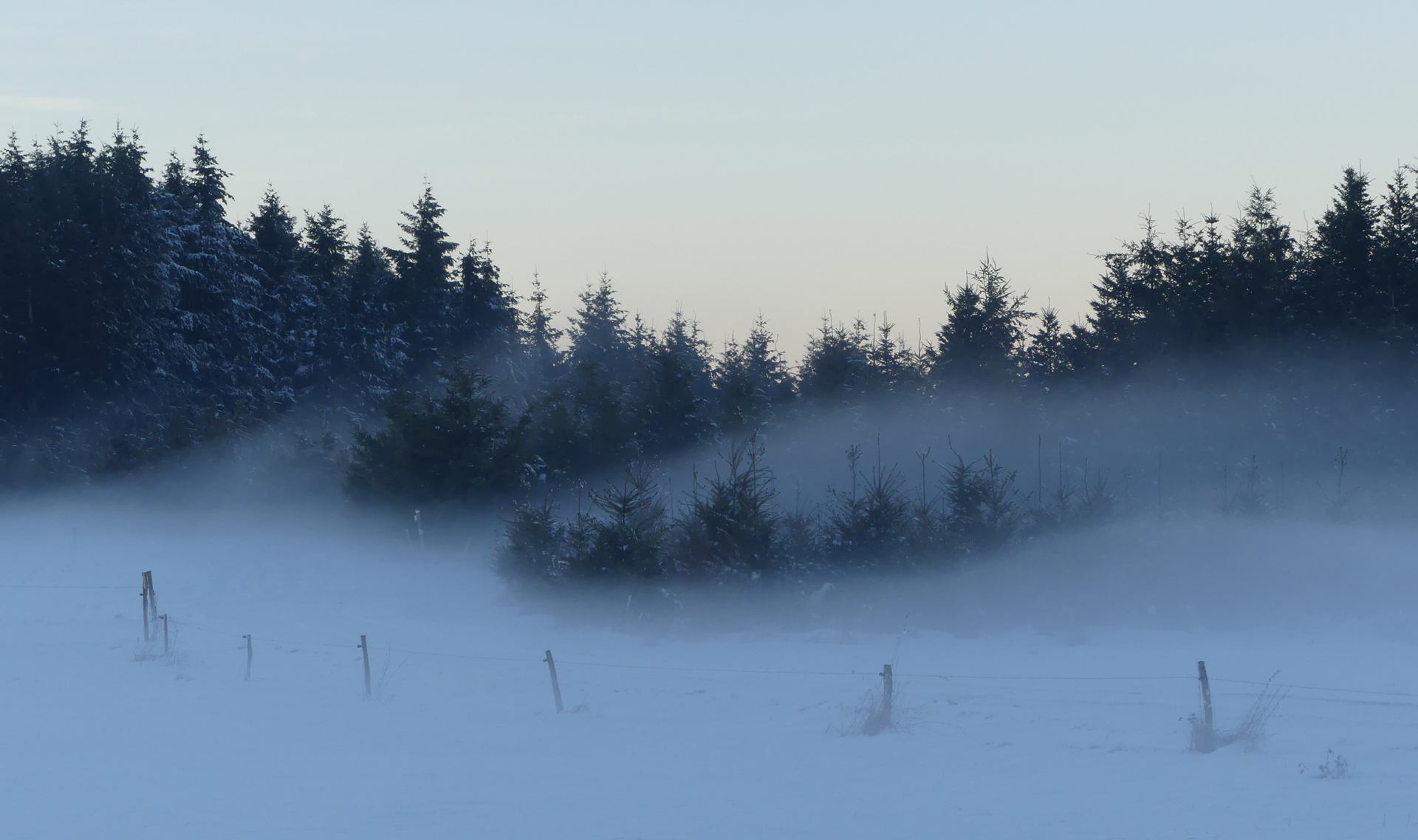 changement de décor P1030673 Original r.jpg