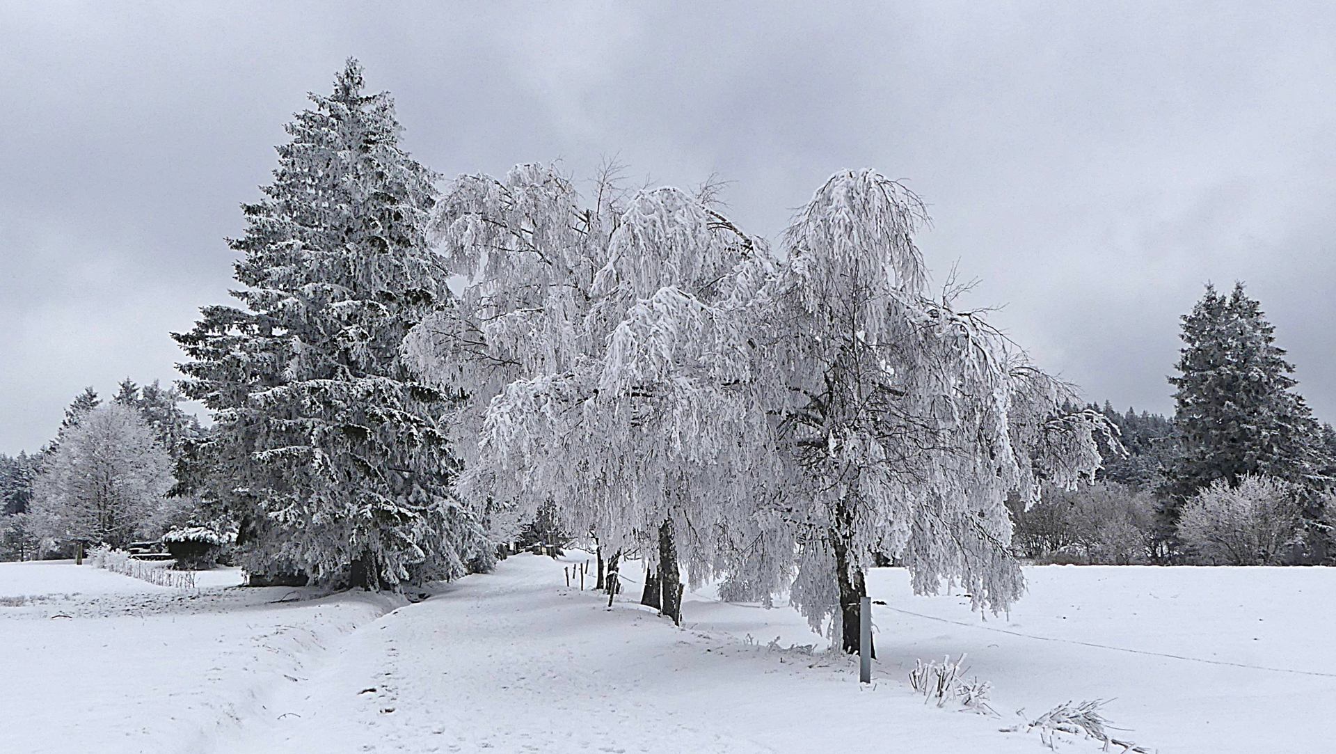 Meygal HLP1040128 b 2 a e 51 nr .jpg