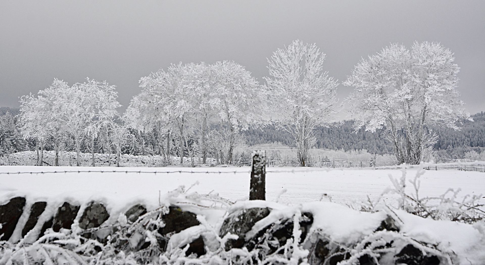 La campagne endormie DSC_9903 b a r na .jpg