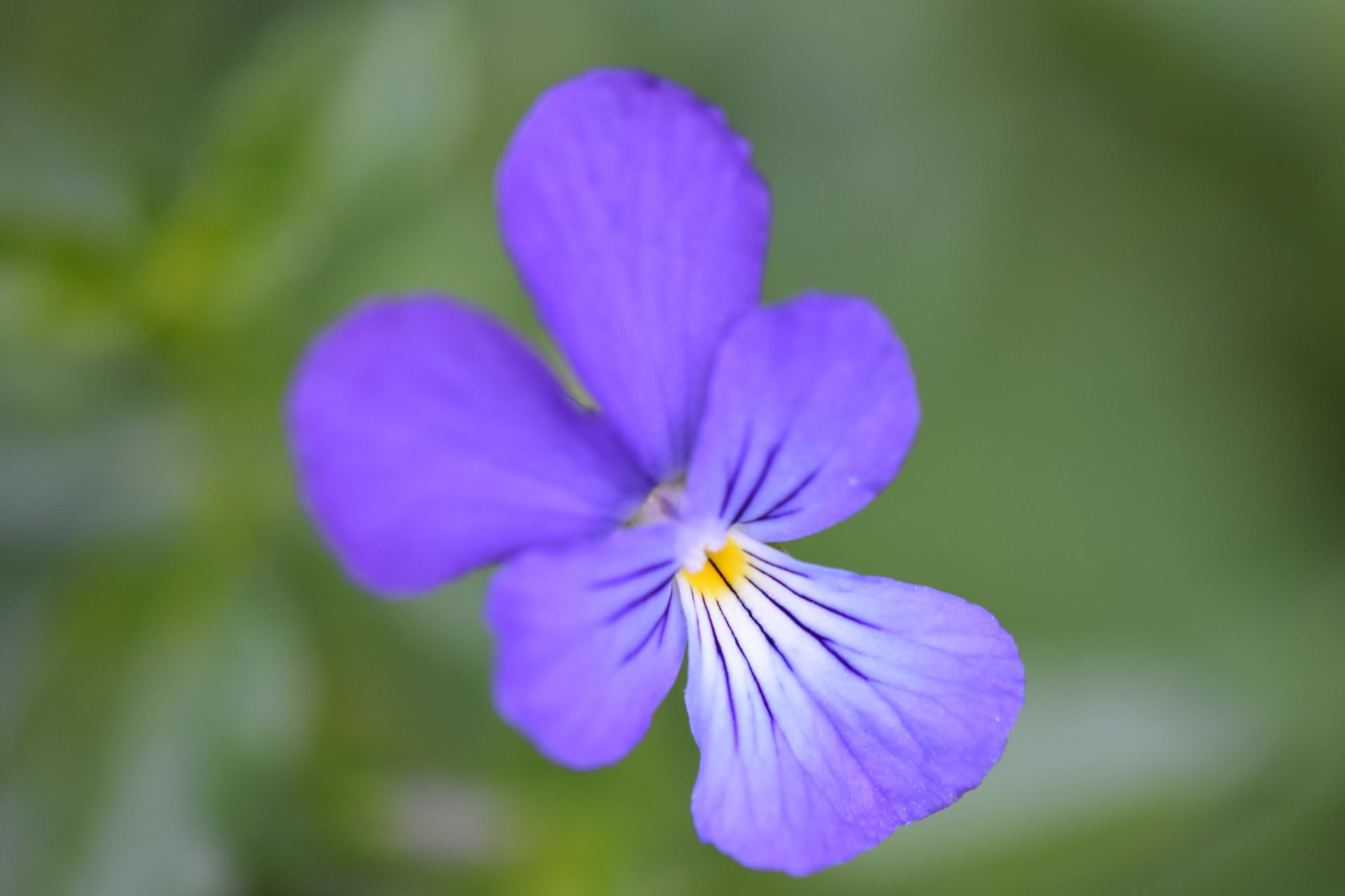 DSC_0065.JPG