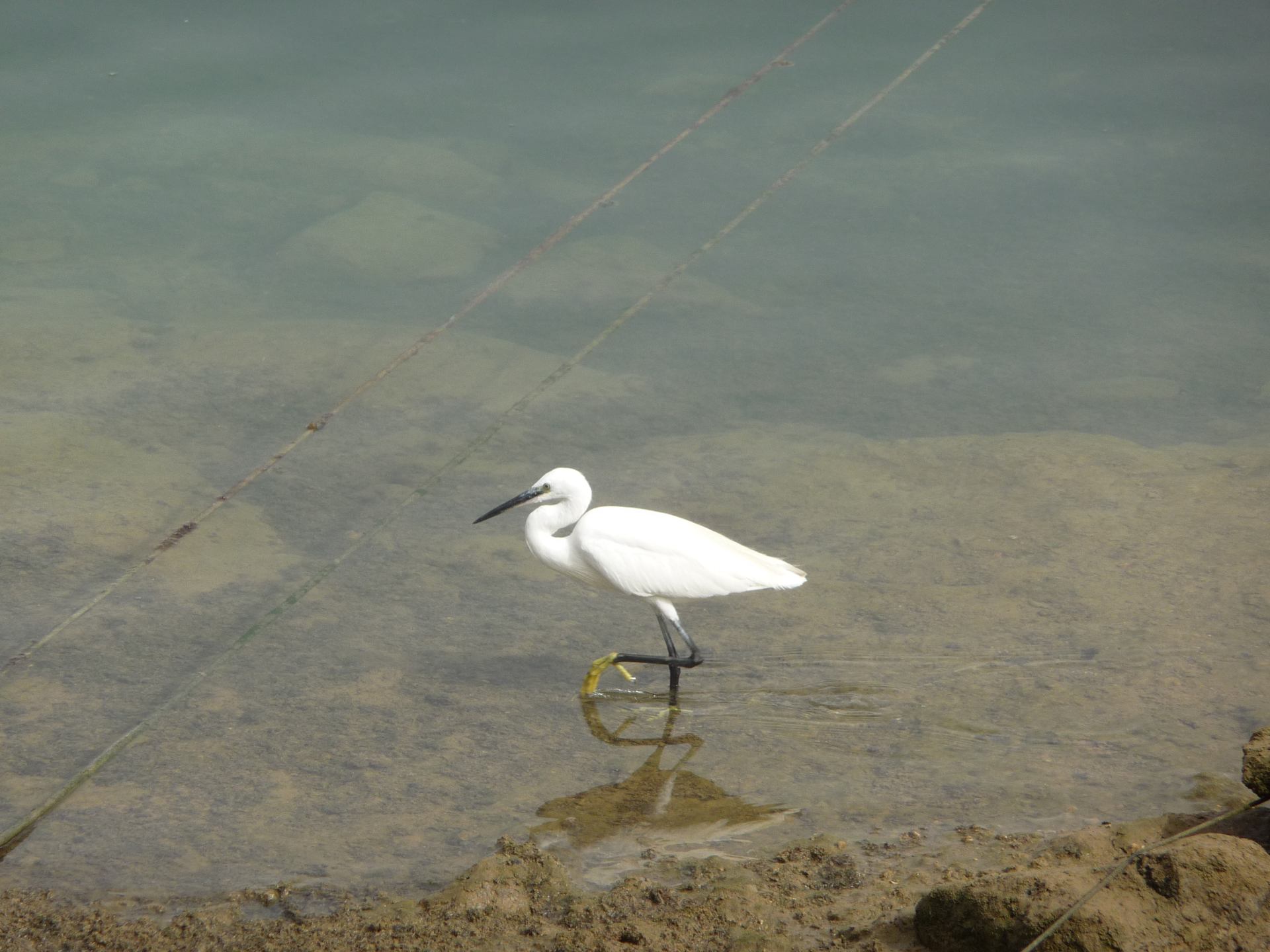 Au port d'Arrecife