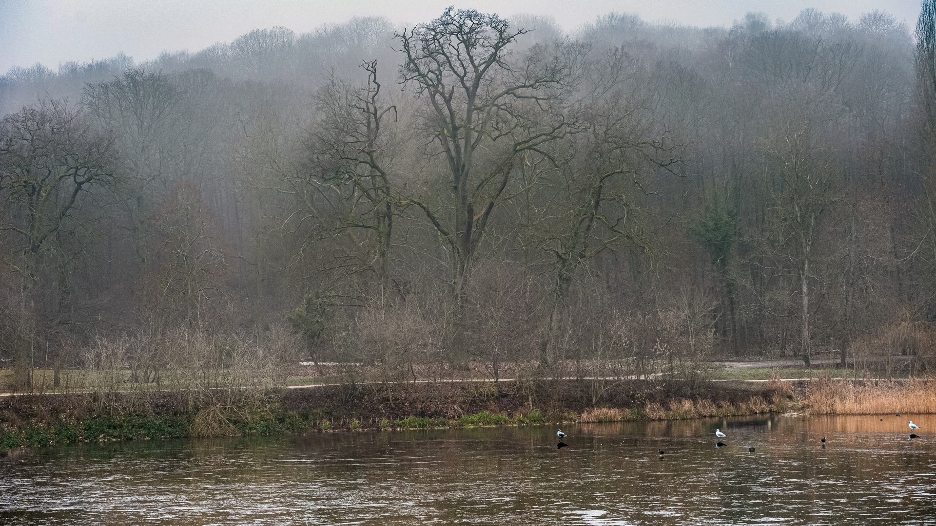 Etangs de Corot