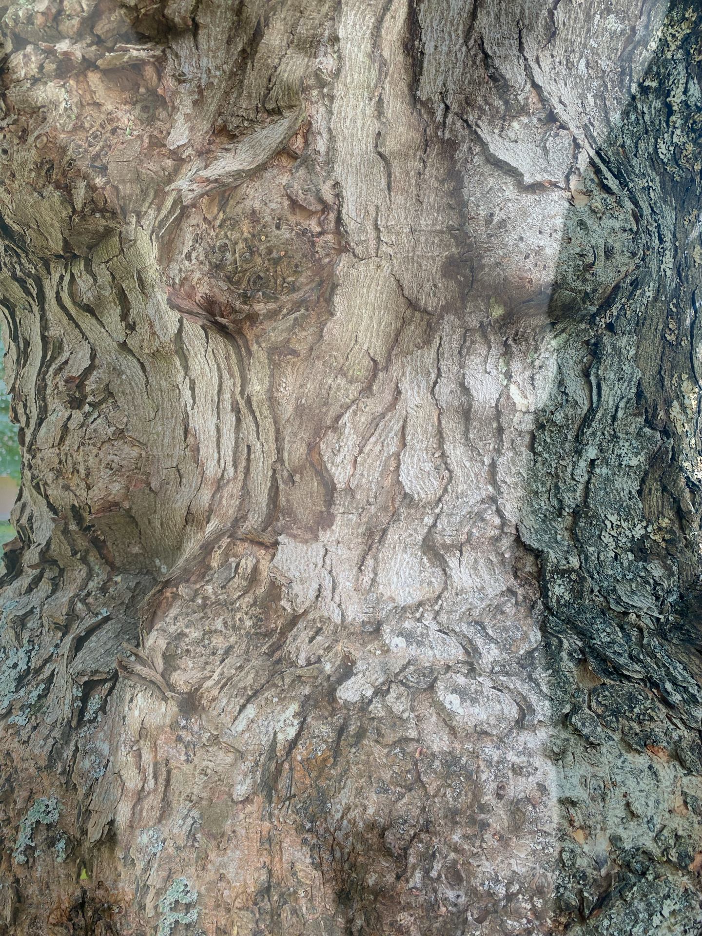 matière/texture