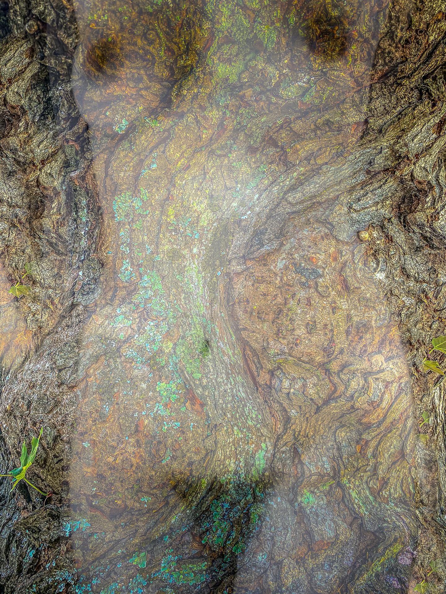 texture