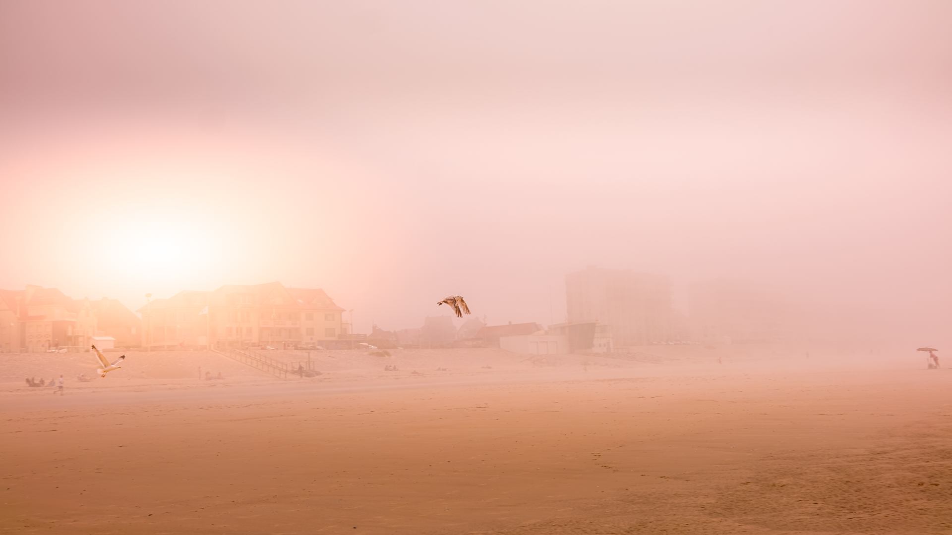 brume