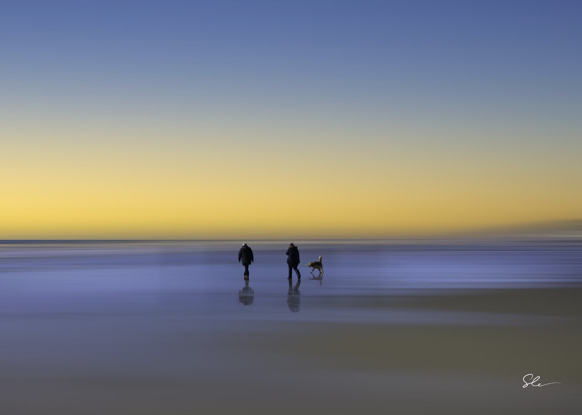 Découverte N°31.png