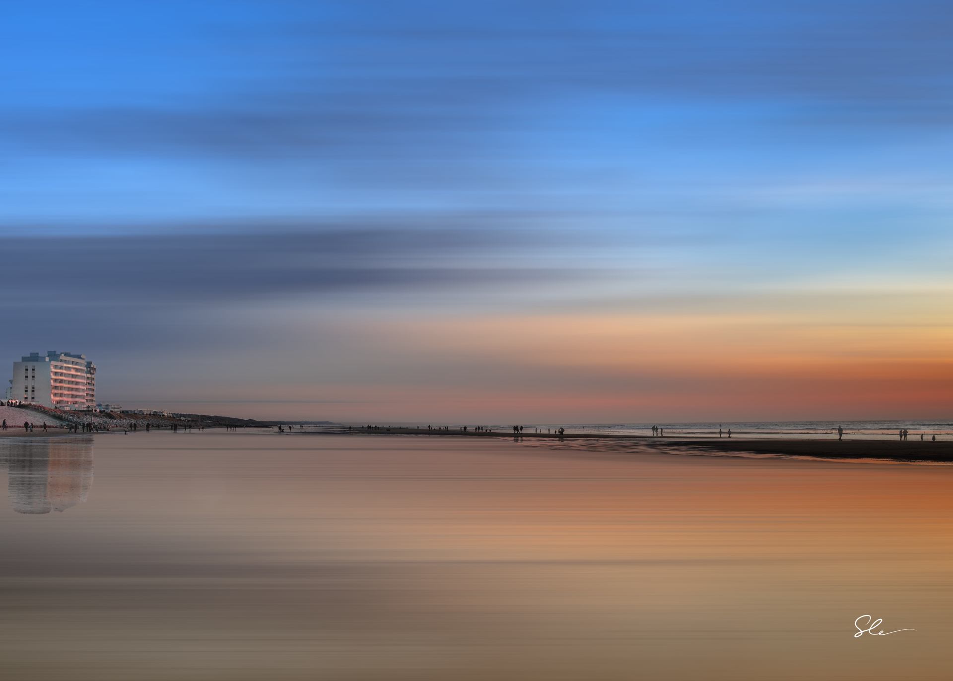 Flamboyant N°46.png