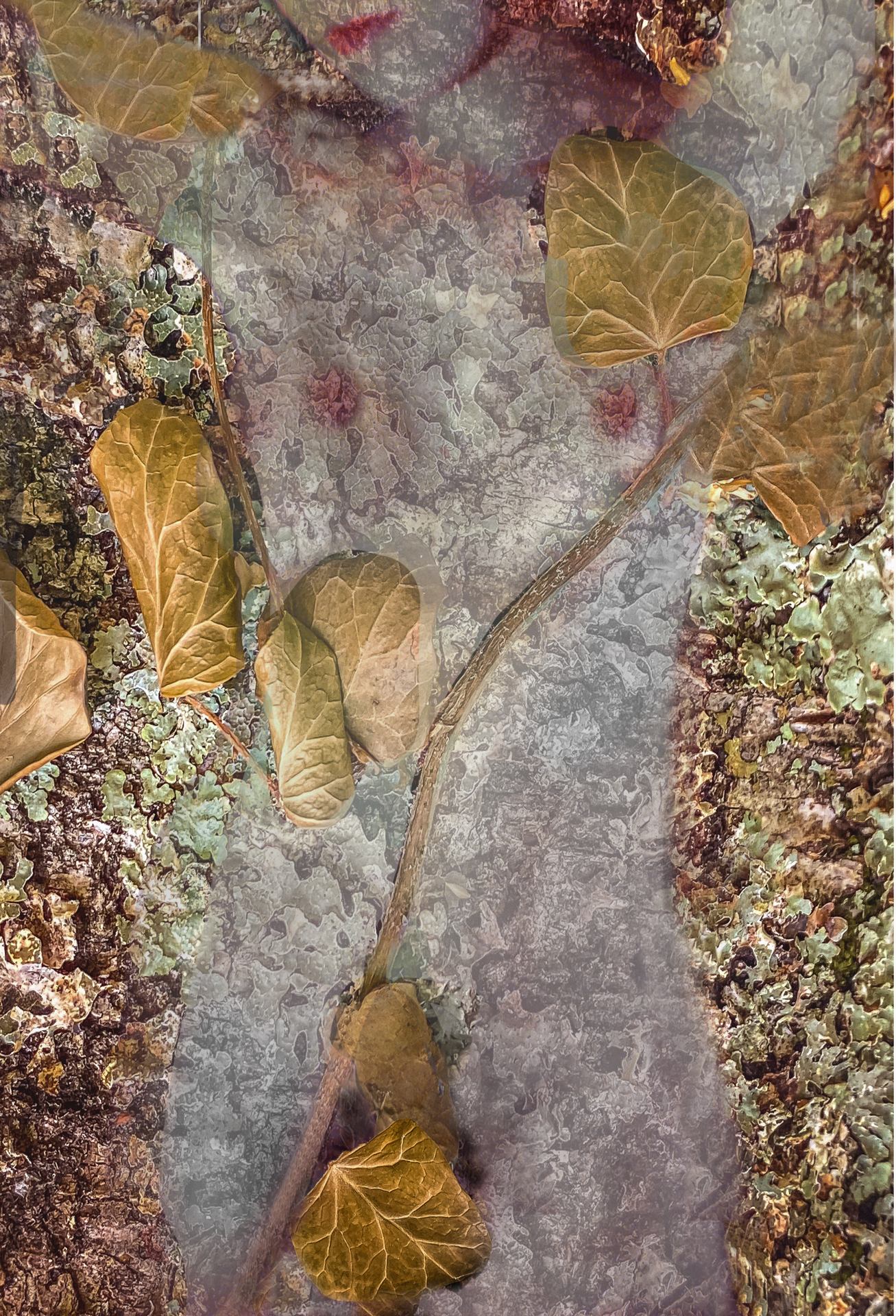 naissance