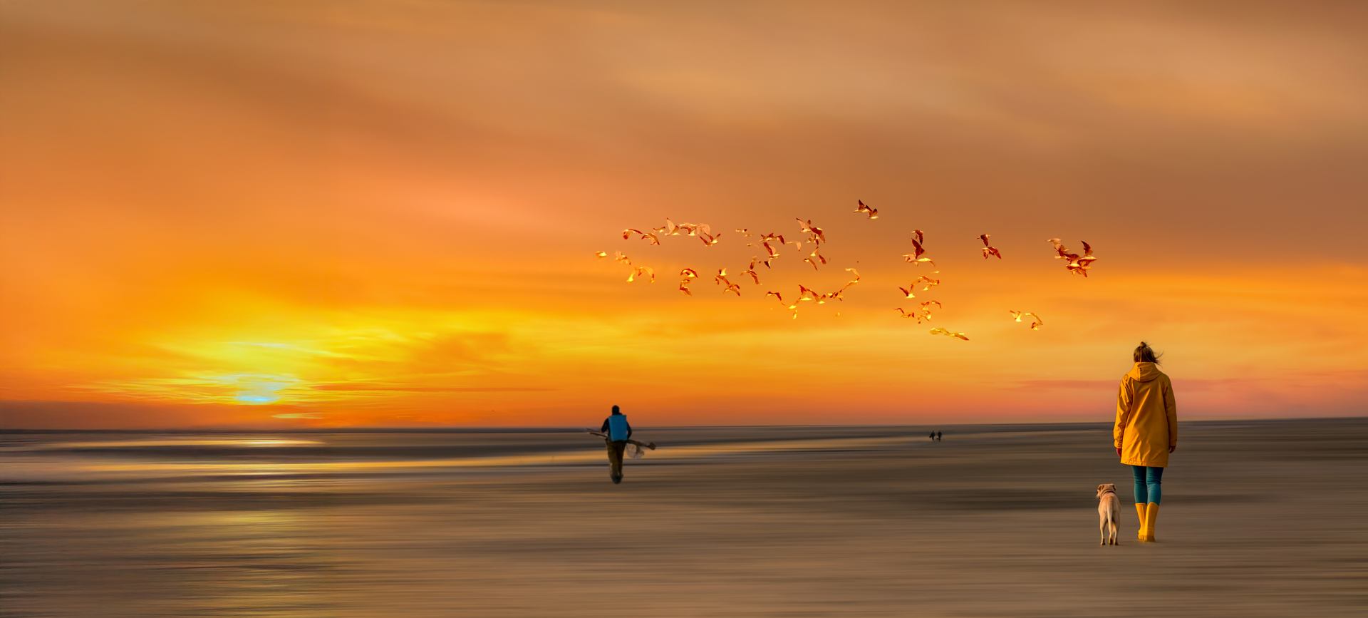 Paysage de la côte d'opale