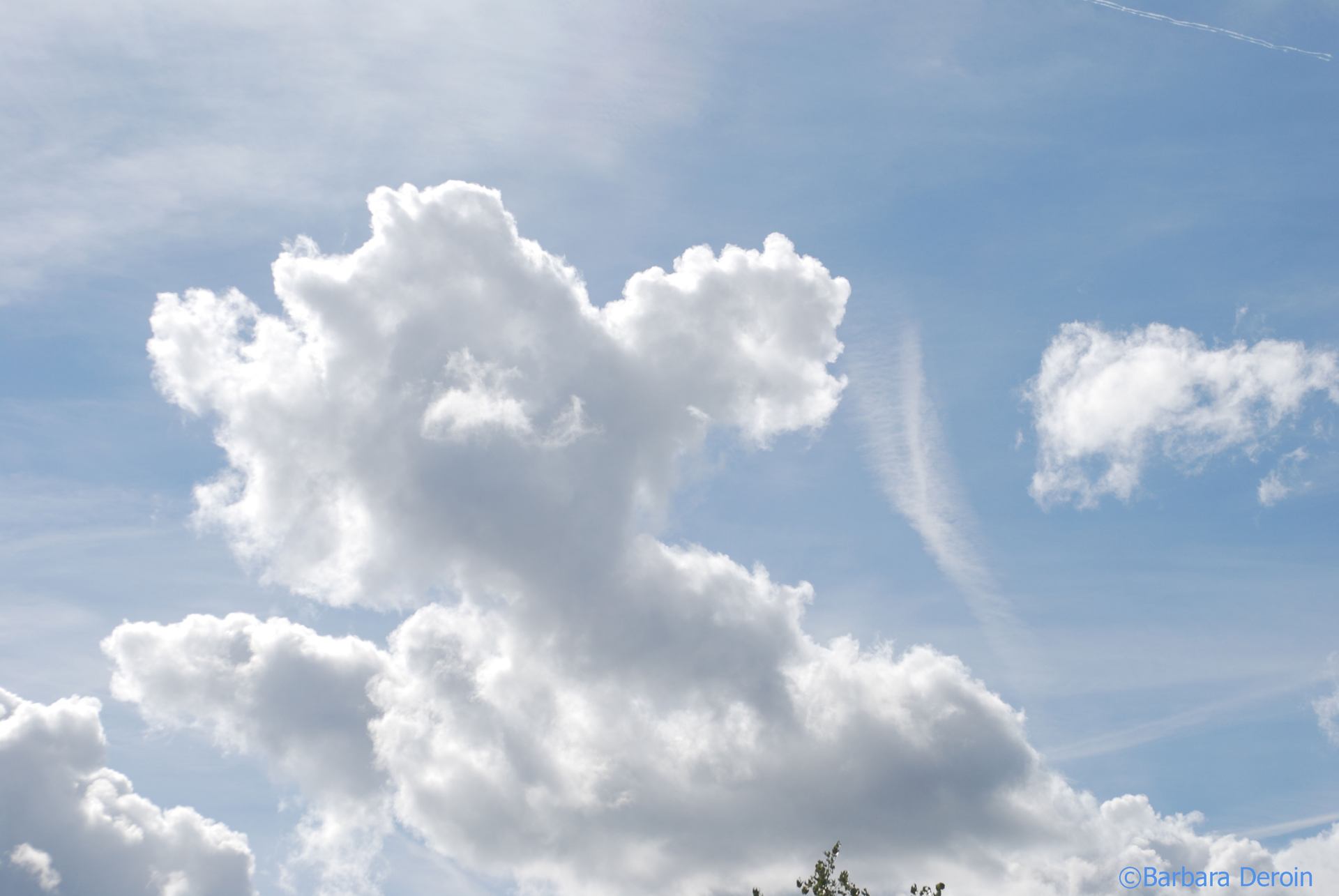 Ciel mon chien ©Barbara Deroin.jpg