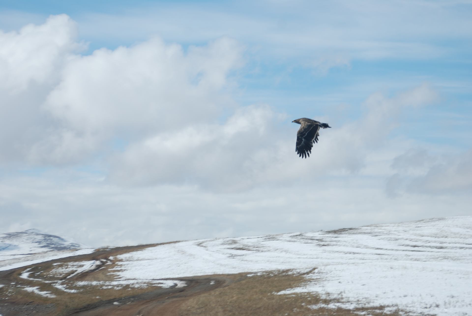Mongolie-dans le ciel ©Barbara Deroin.JPG