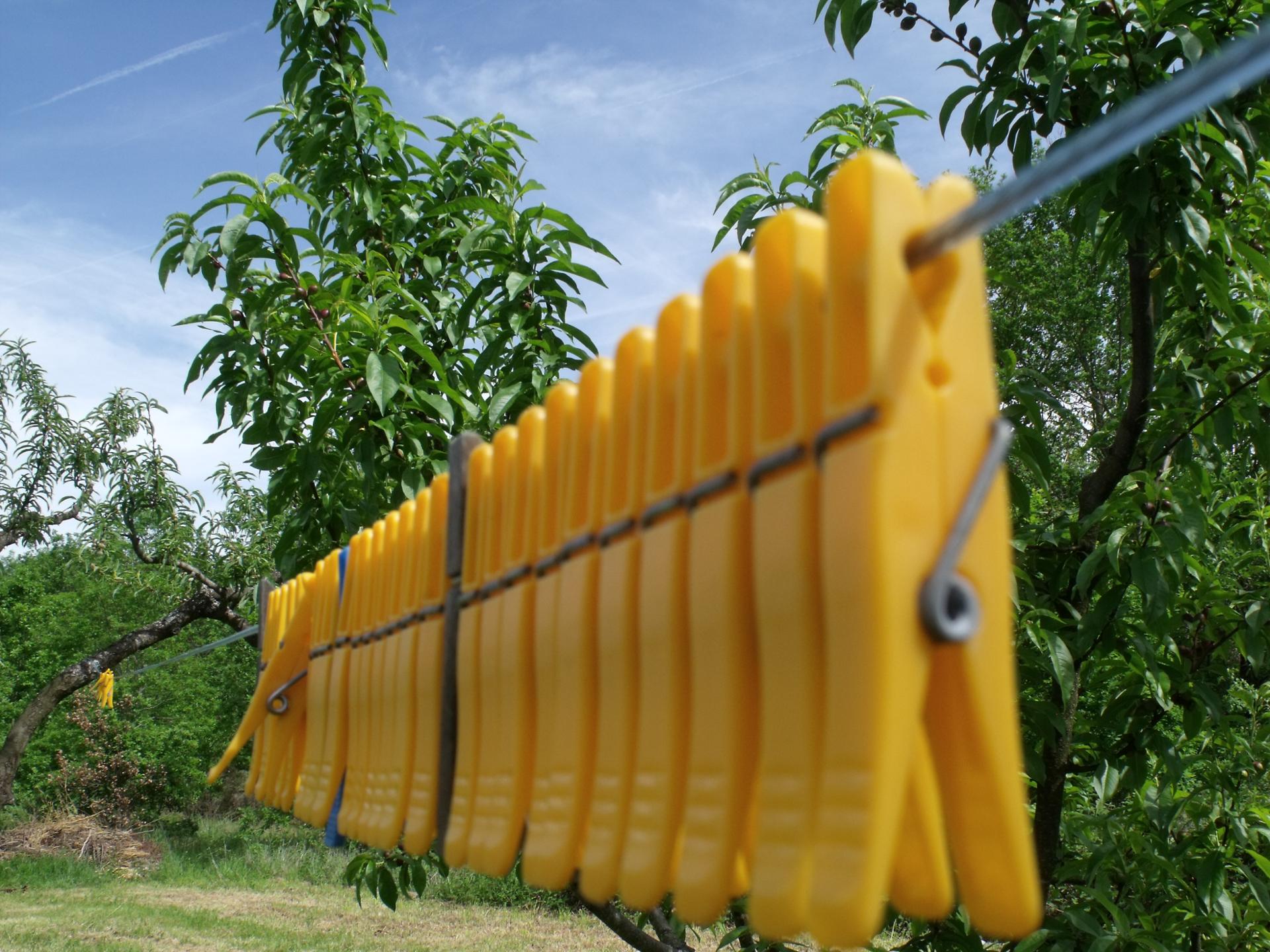 Clothespins in line
